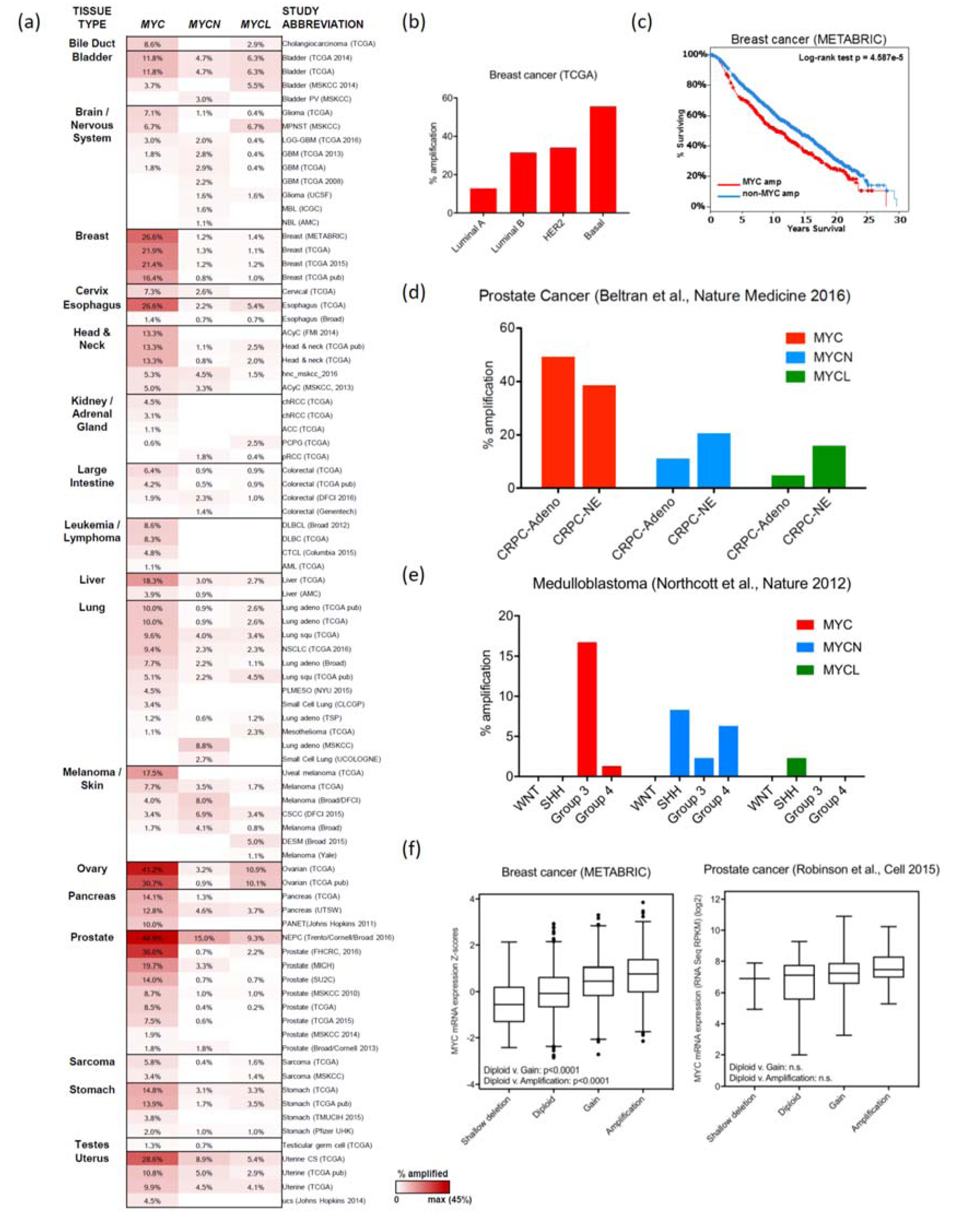 Genes | Free Full-Text | MYC Deregulation in Primary Human Cancers | HTML