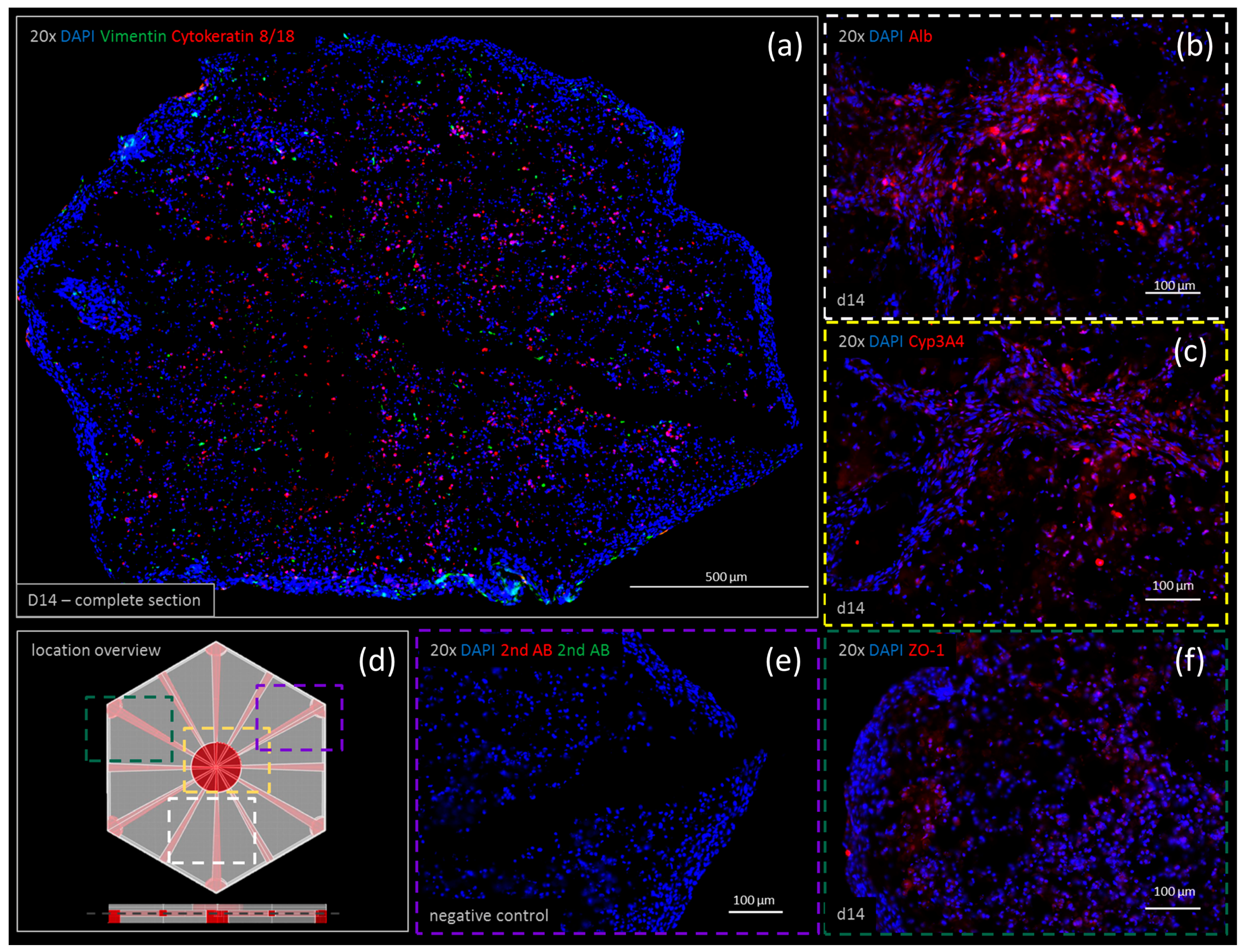 Genes 09 00176 g006 Genes 09 00176 g006