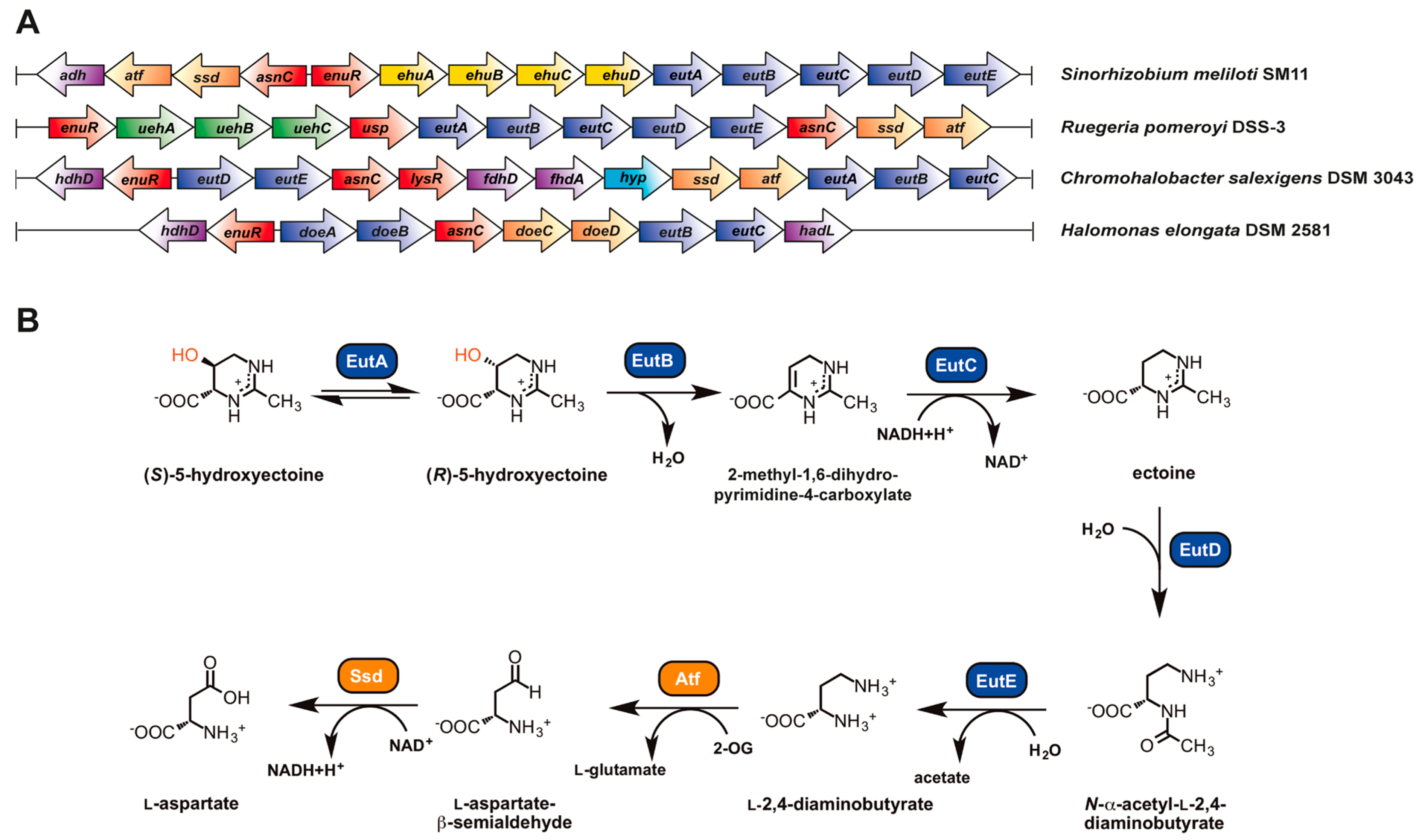 Genes 09 00177 g006 Genes 09 00177 g006