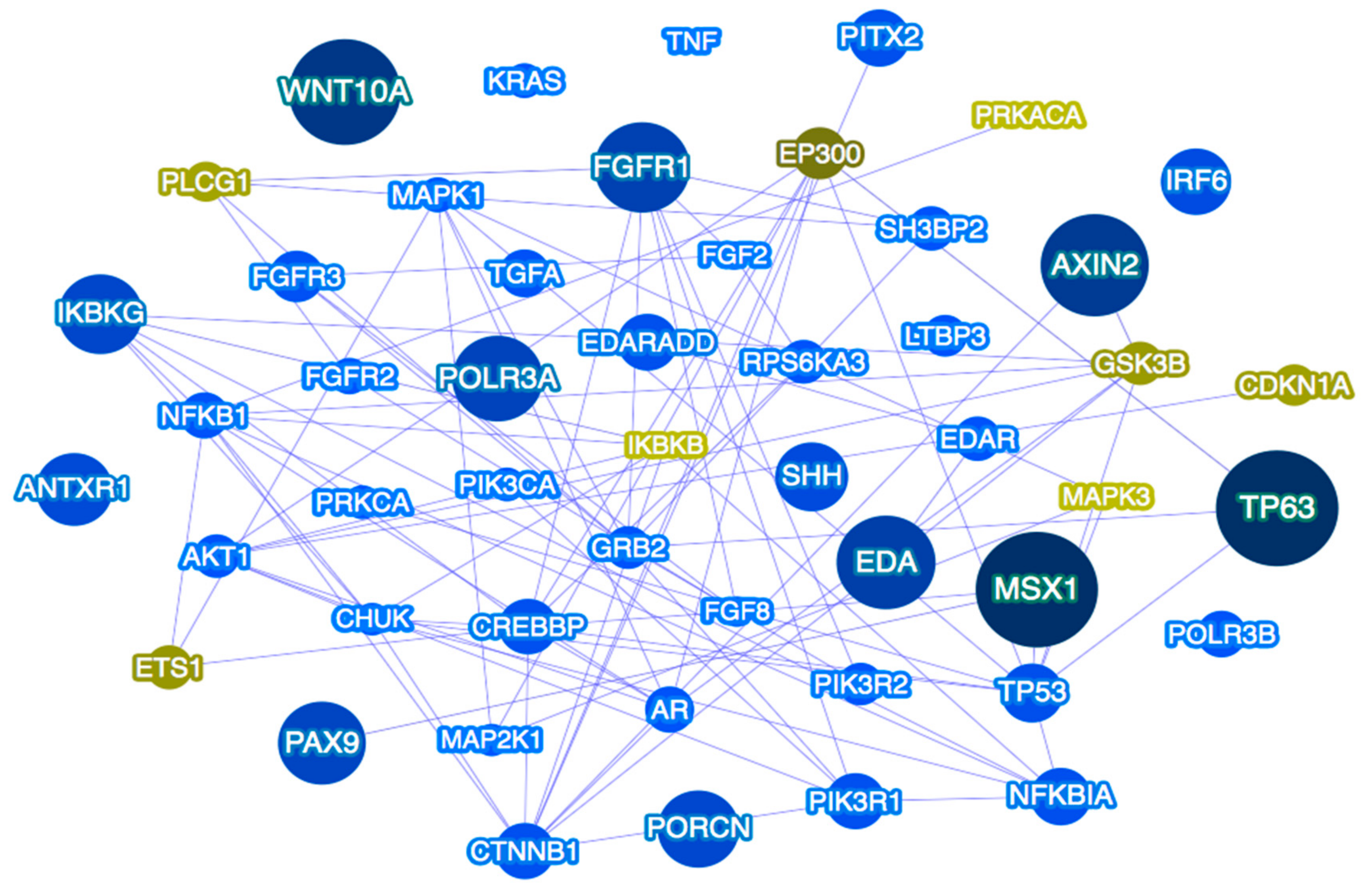 Genes 09 00255 g002 Genes 09 00255 g002