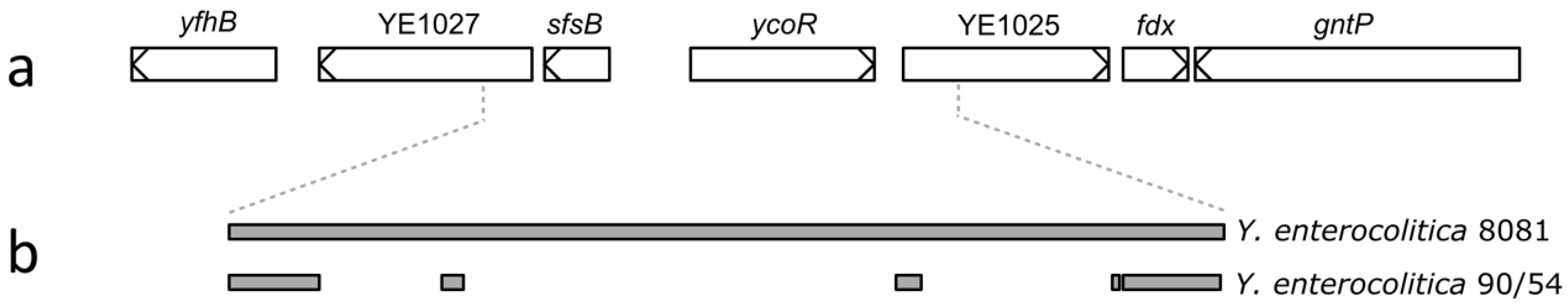 Genes 09 00307 g001 Genes 09 00307 g001