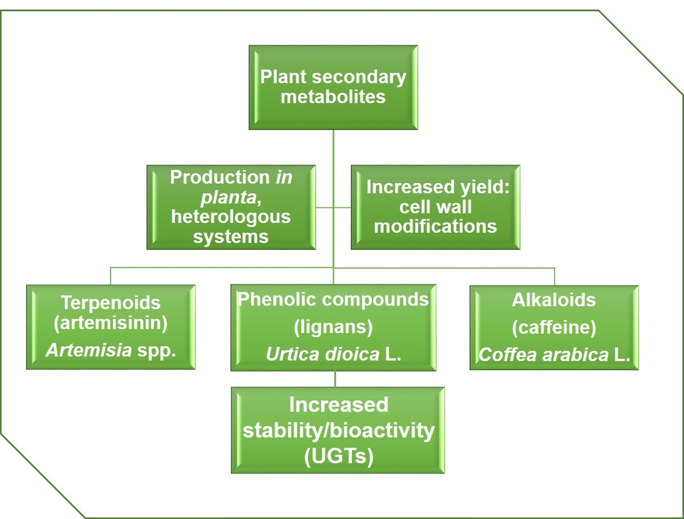 Genes | Free Full-Text | Production of Plant Secondary Metabolites ...