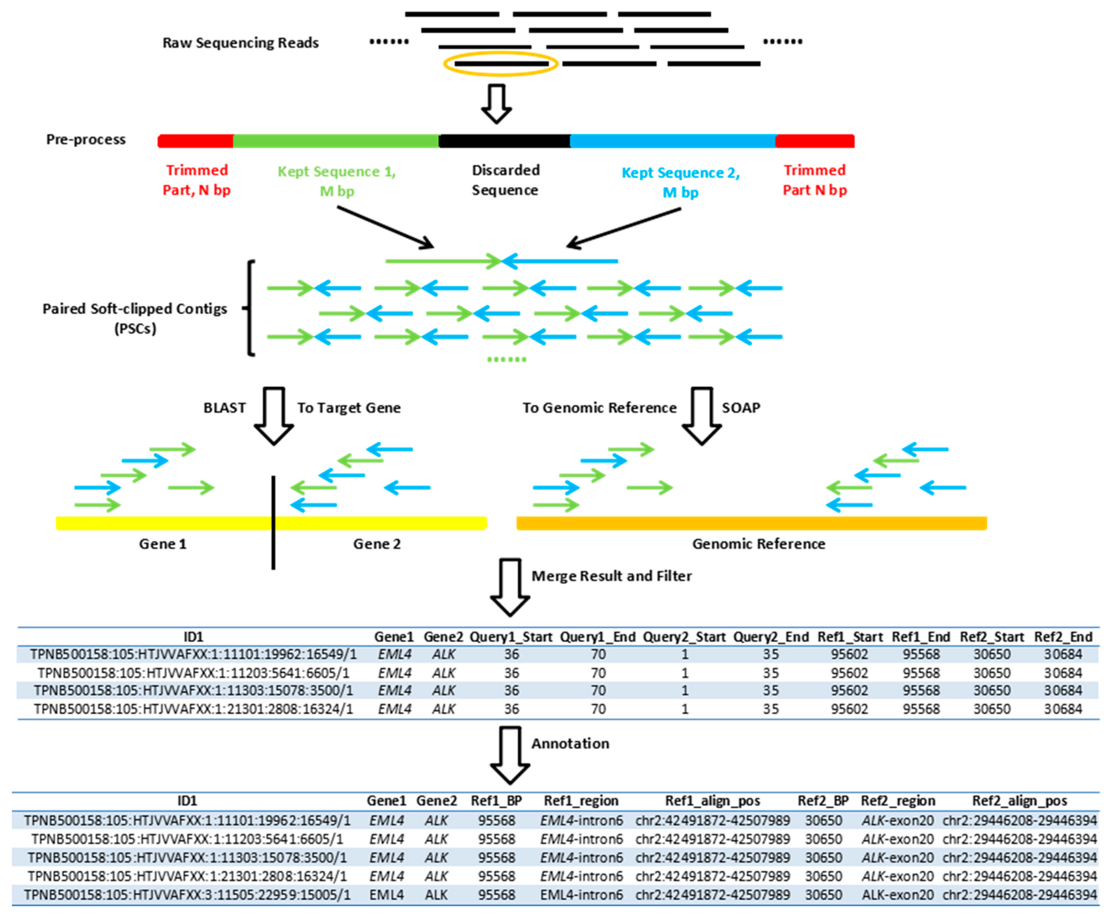 Genes | Free Full-Text | SEGF: A Novel Method For Gene Fusion Detection ...