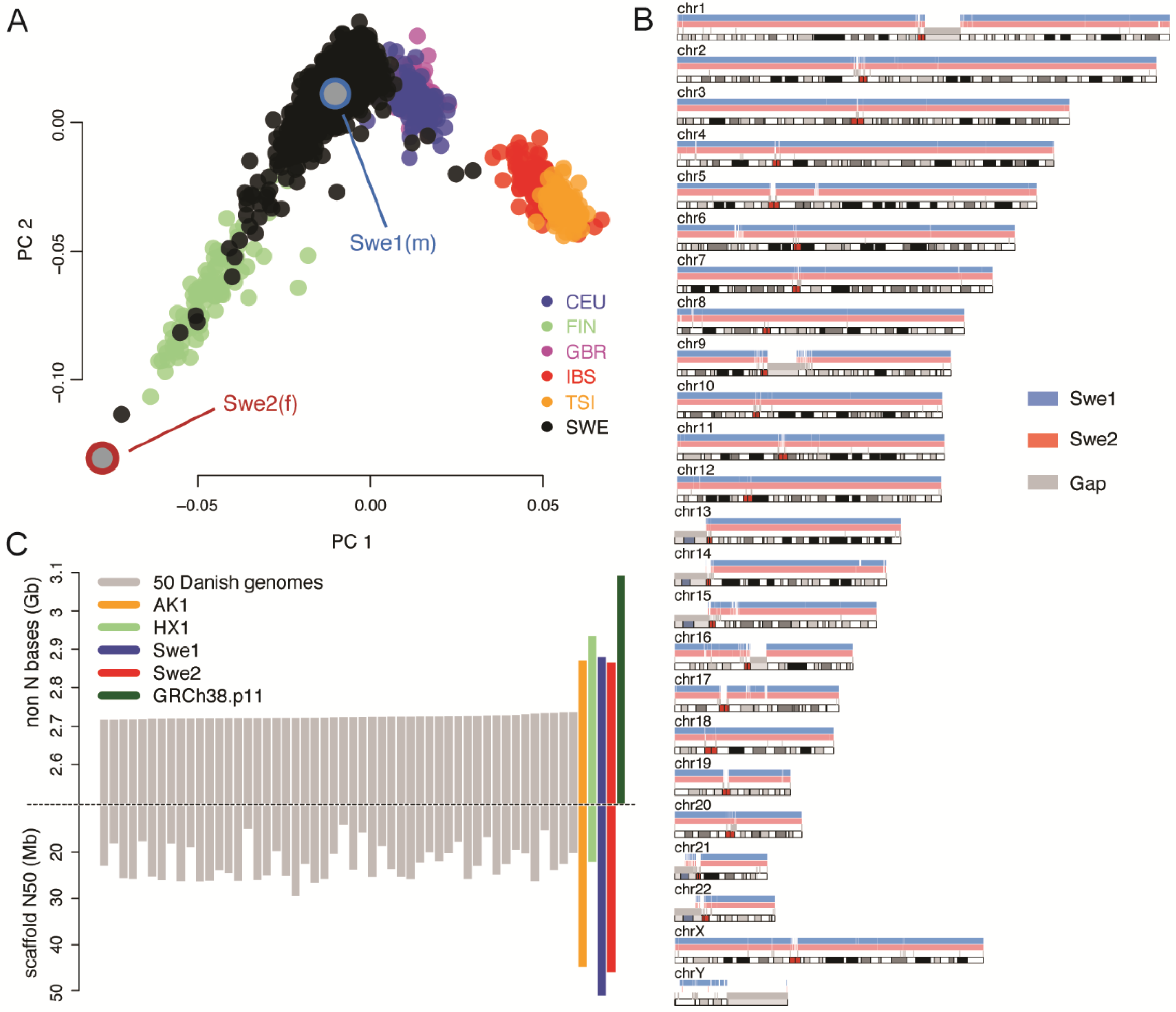 Genes | Free Full-Text | De Novo Assembly of Two Swedish Genomes Reveals  Missing Segments from the Human GRCh38 Reference and Improves Variant  Calling of Population-Scale Sequencing Data | HTML