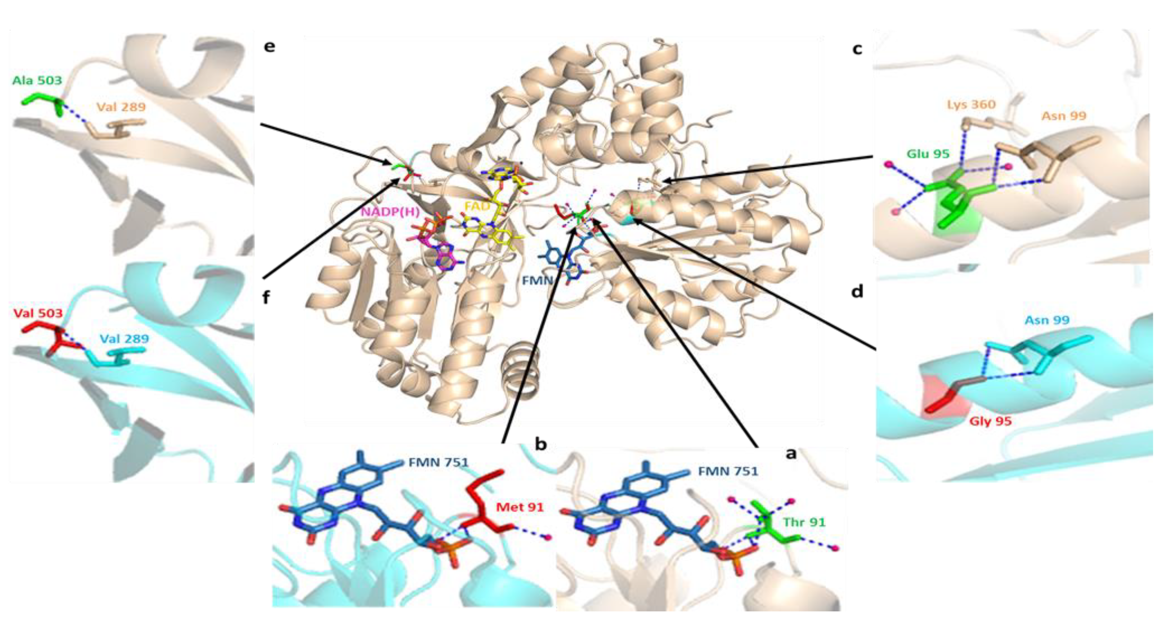 Genes 09 00514 g008 Genes 09 00514 g008