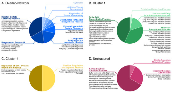 Genes | Free Full-Text | Profiling Cellular Processes in Adipose