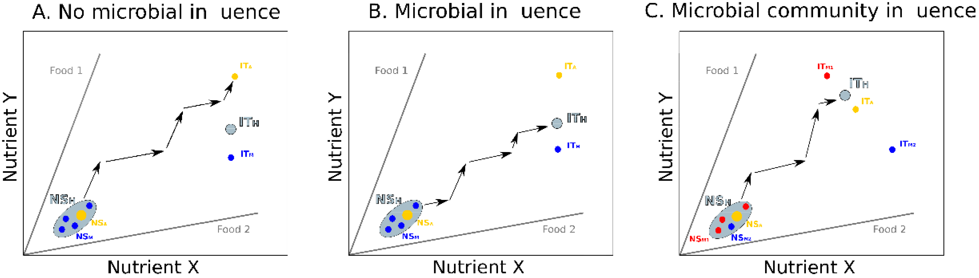 Genes Free Full Text Exploring Interactions Between The Gut