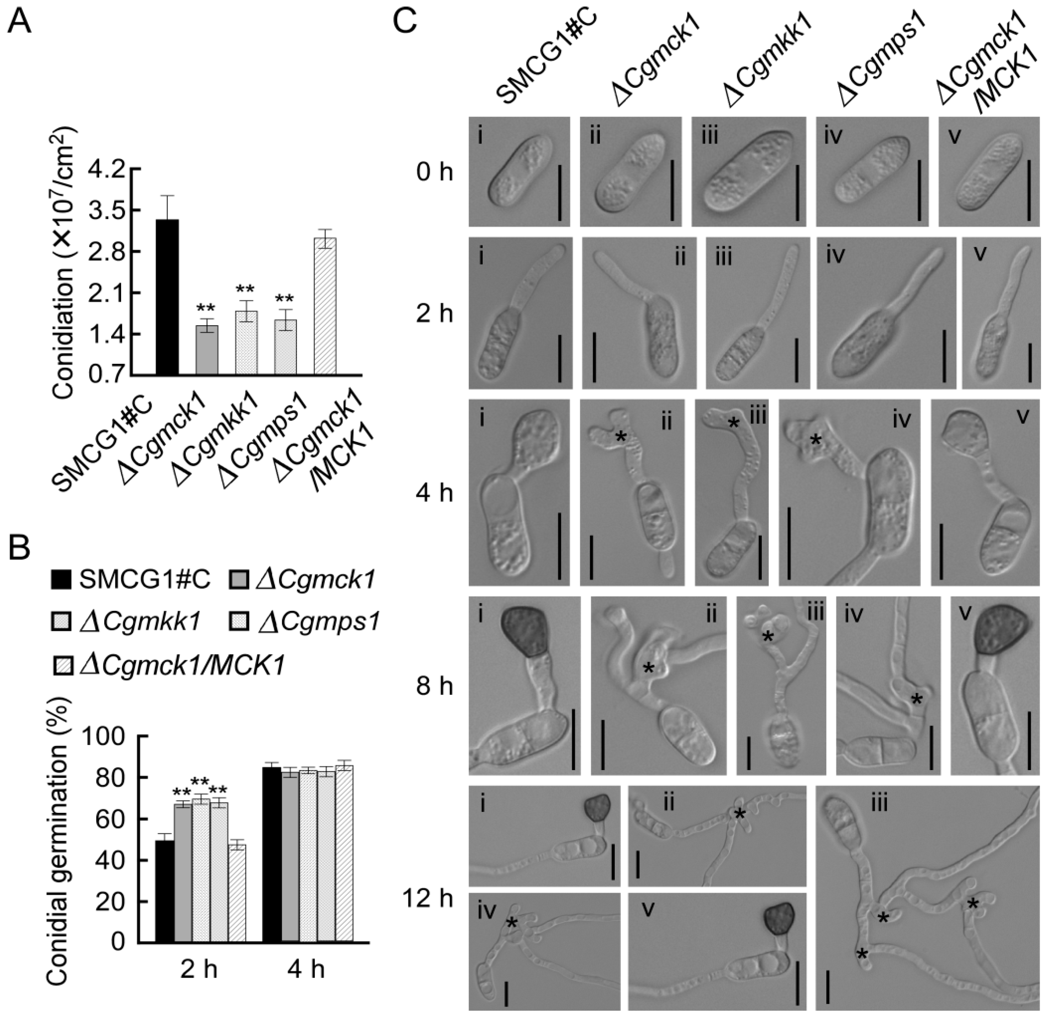 Genes 09 00543 g004 Genes 09 00543 g004
