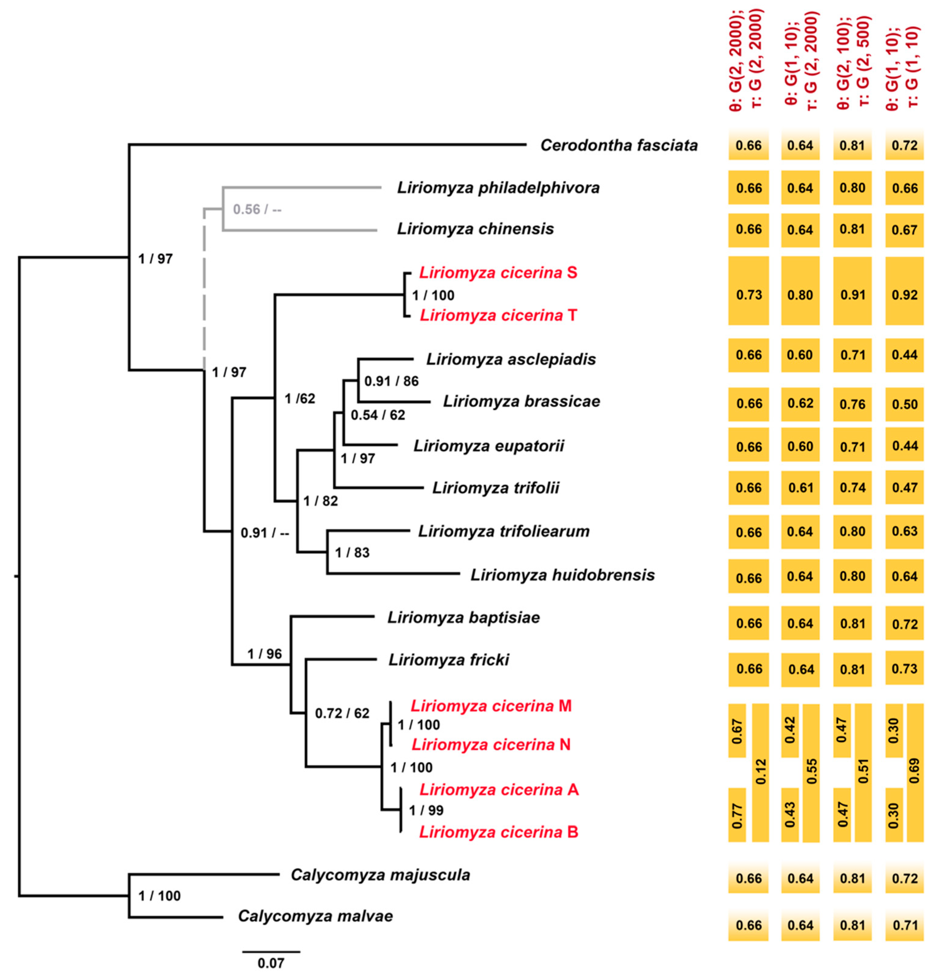 Genes 09 00554 g004 Genes 09 00554 g004