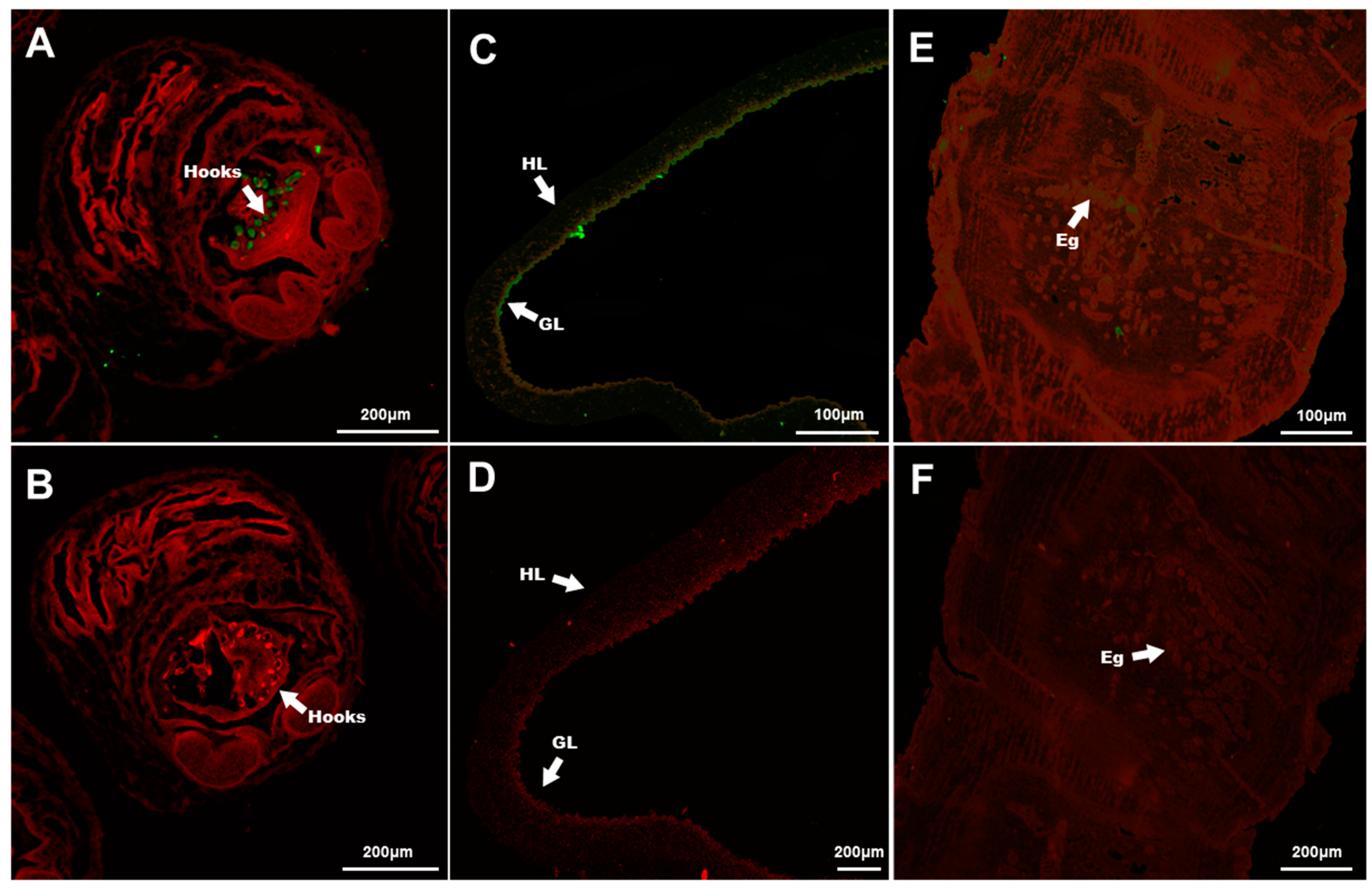 Genes 09 00559 g006 Genes 09 00559 g006
