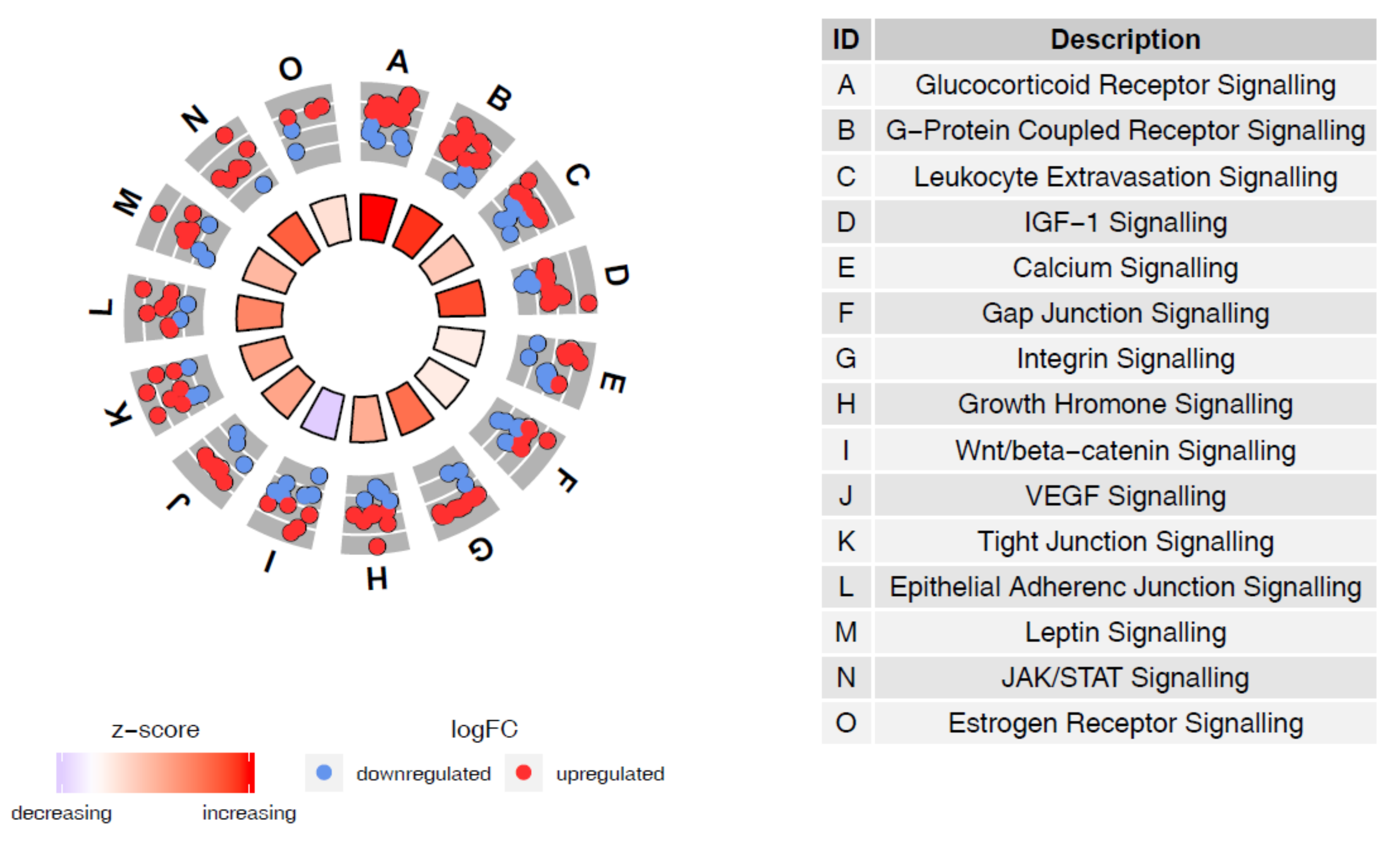 Genes 09 00574 g005 Genes 09 00574 g005