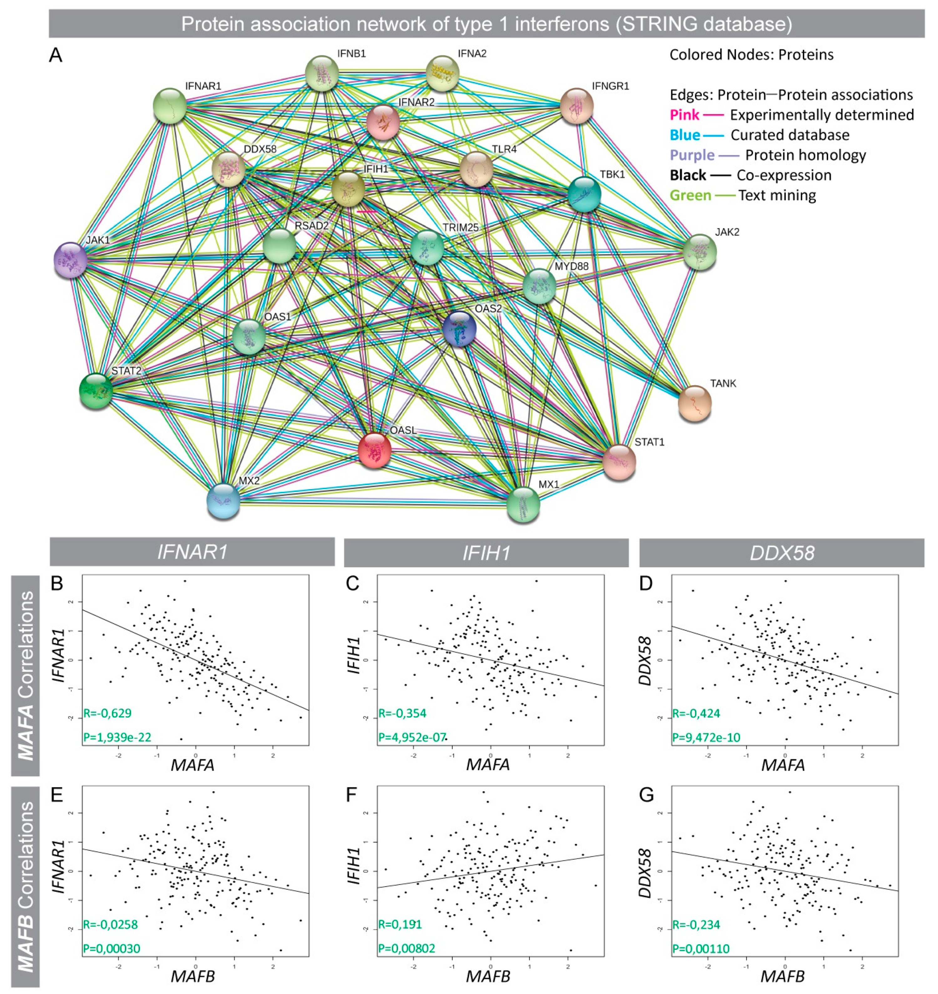 Genes 09 00644 g002 Genes 09 00644 g002