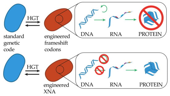 Genes Special Issue Synthetic Dna And Rna Programming