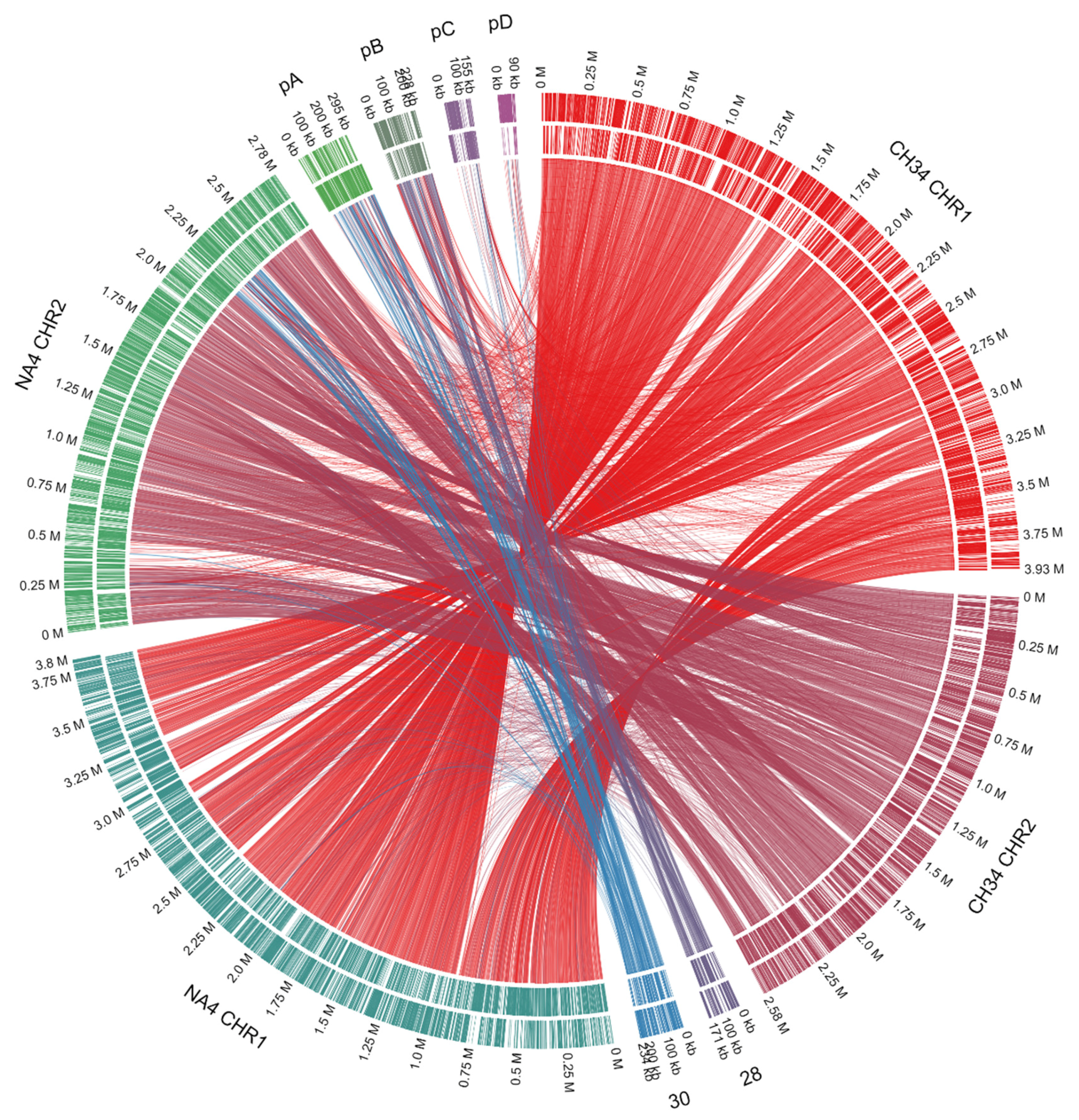 Genes Free Full Text Genomic And Transcriptomic Changes That