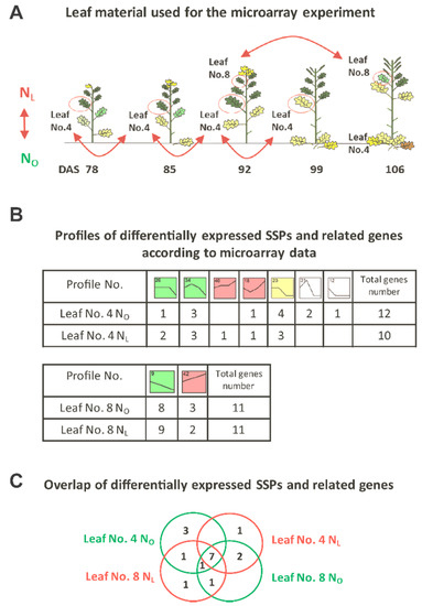 https://www.mdpi.com/genes/genes-10-00072/article_deploy/html/images/genes-10-00072-g001-550.jpg