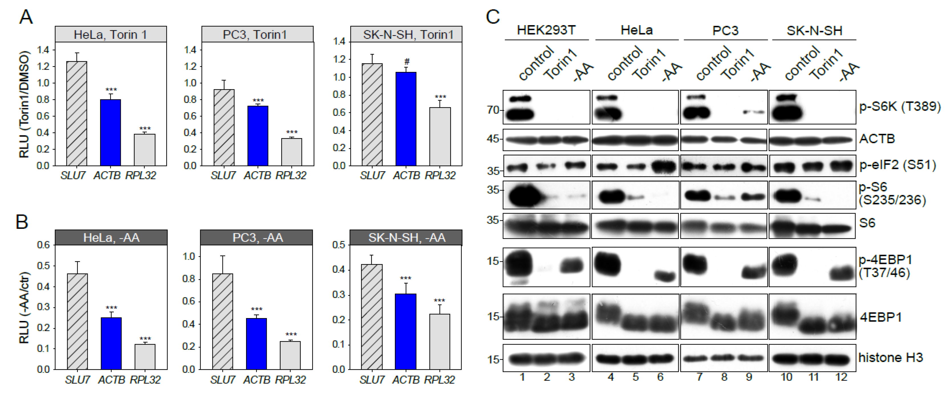Genes 10 00096 g003 Genes 10 00096 g003