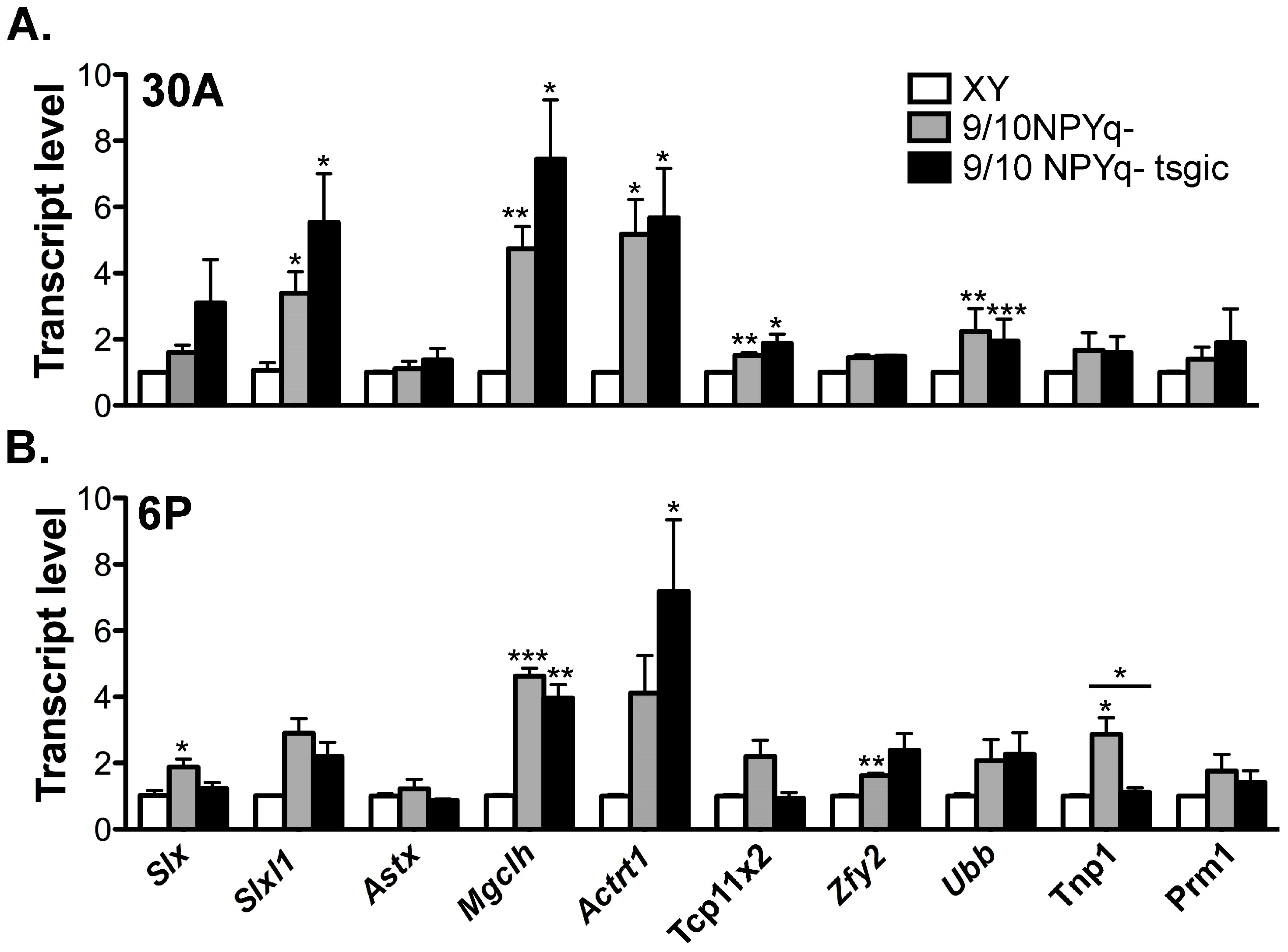 Genes 10 00133 g005