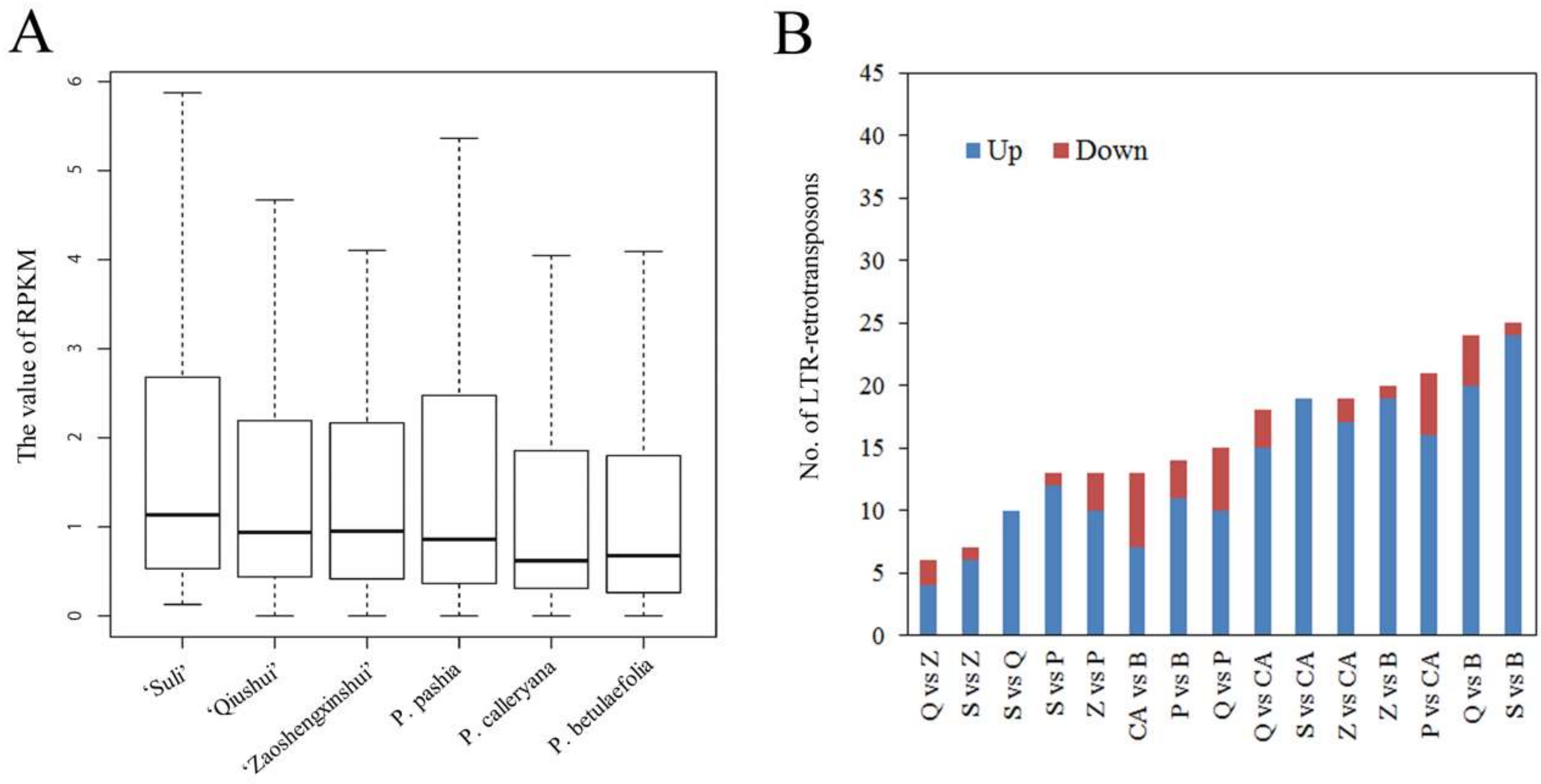 Genes 10 00156 g001