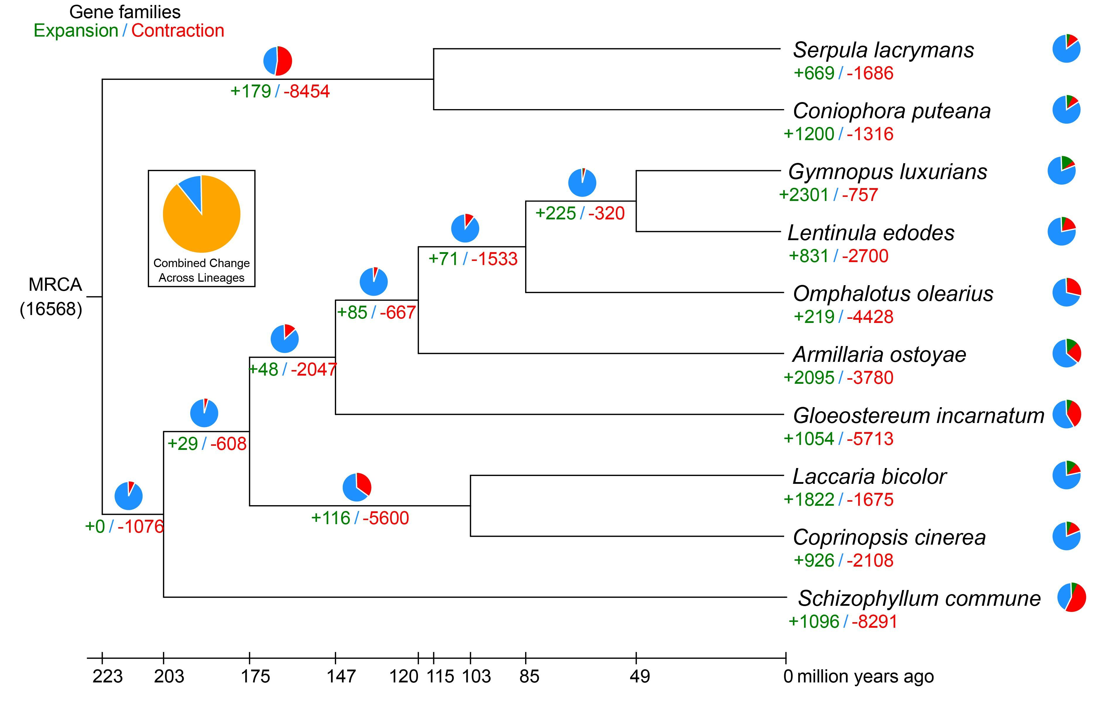Genes 10 00188 g002