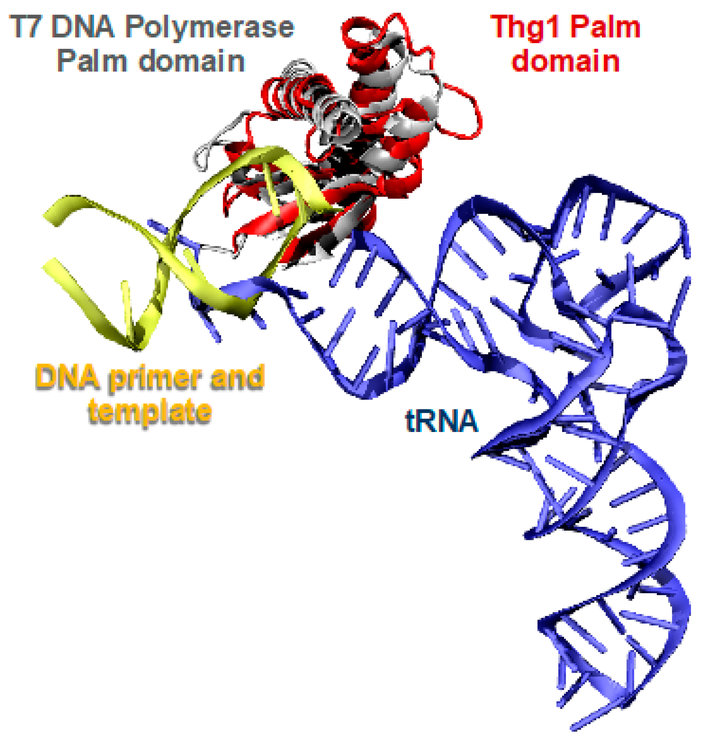 Genes 10 00250 g003