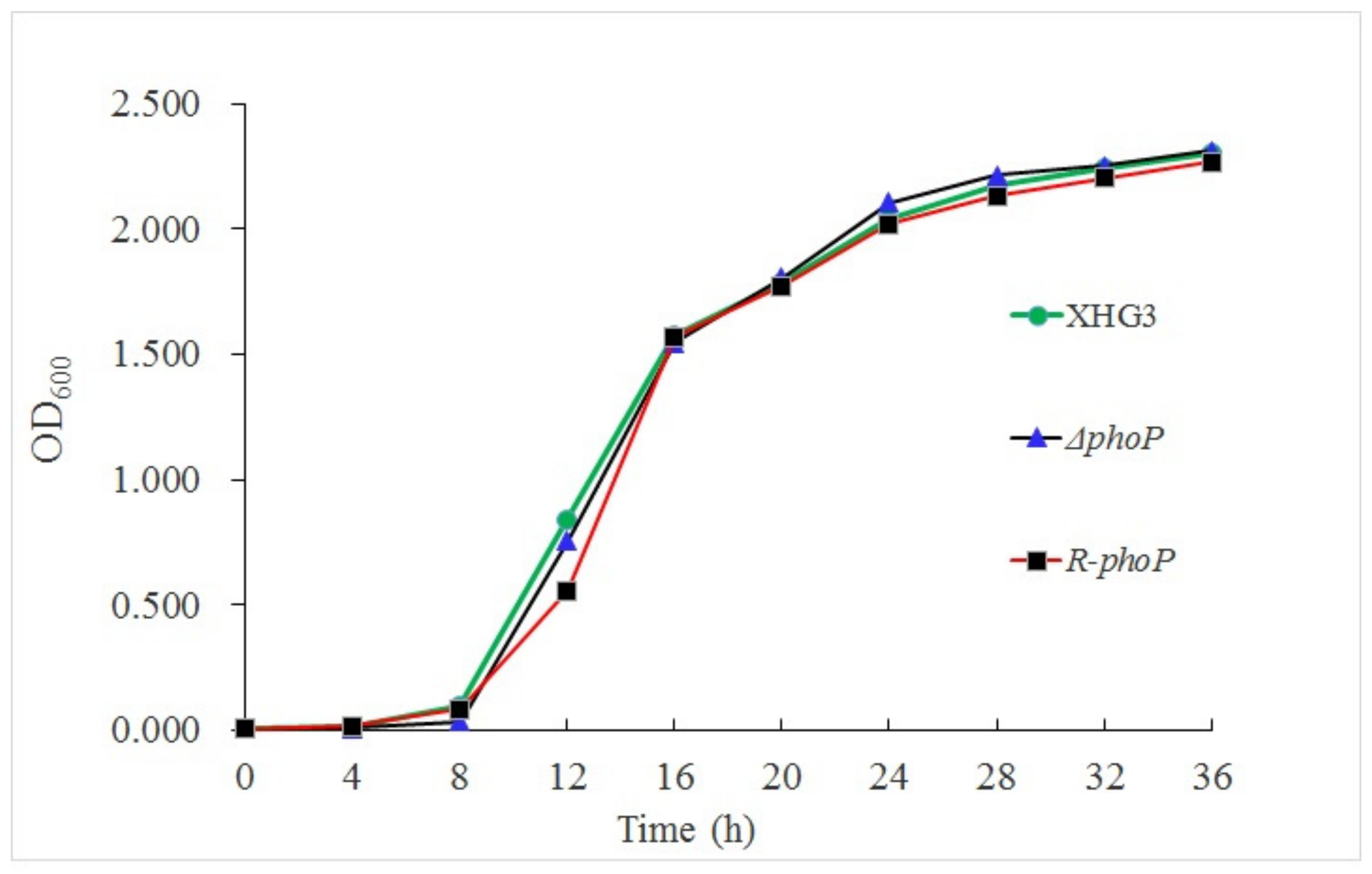 Genes Free Full Text Global Regulator Phop Is Necessary For