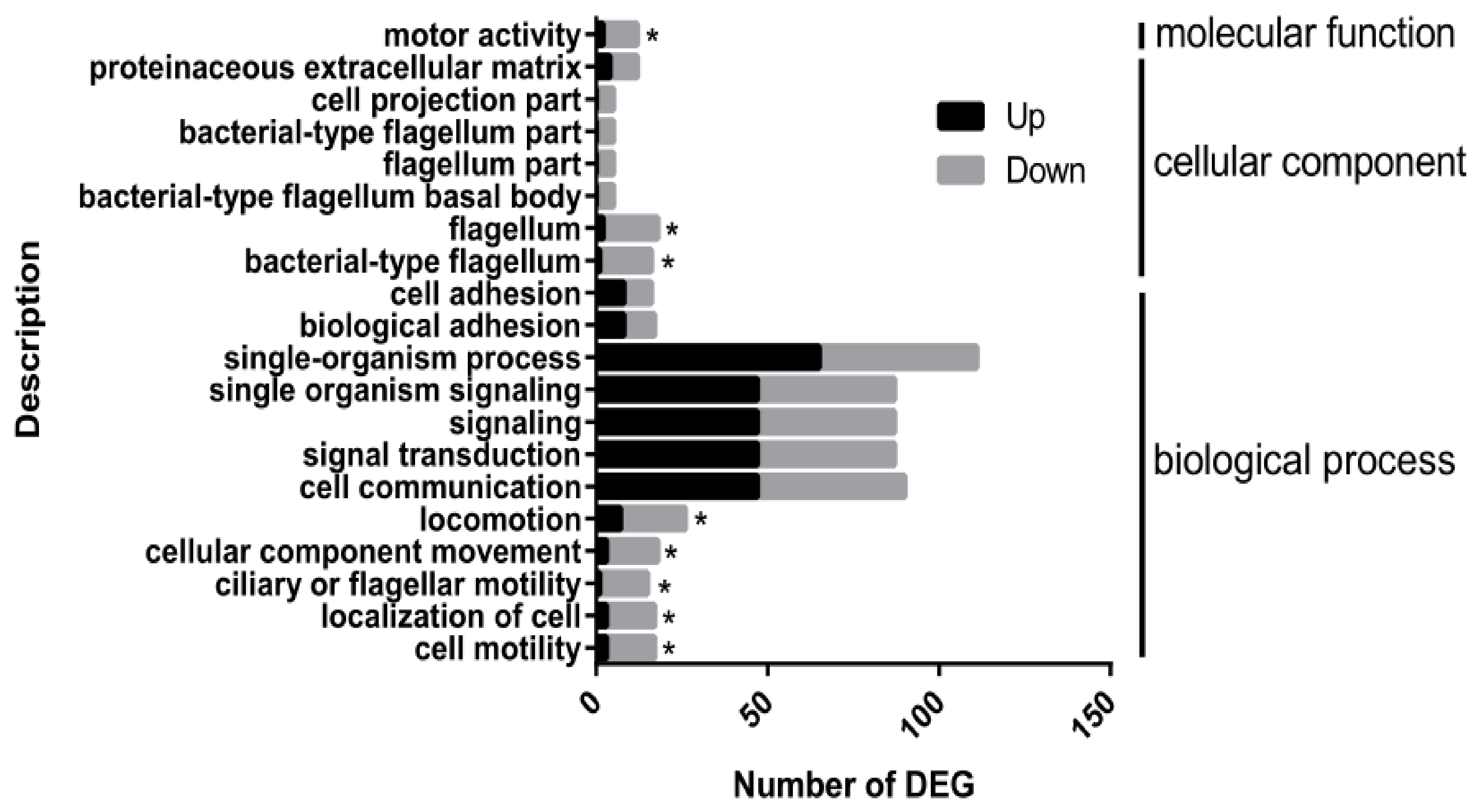 Genes 10 00340 g006 Genes 10 00340 g006