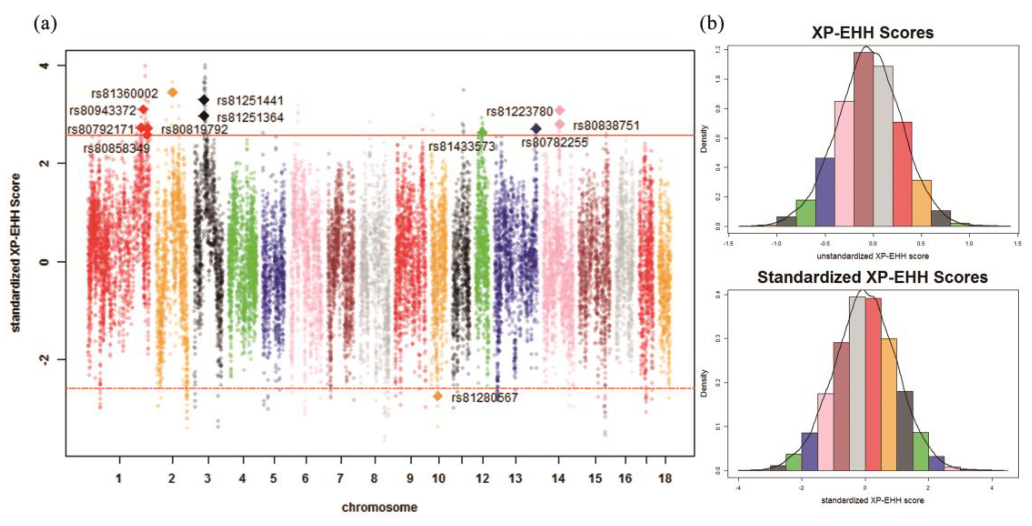 Genes 10 00346 g004