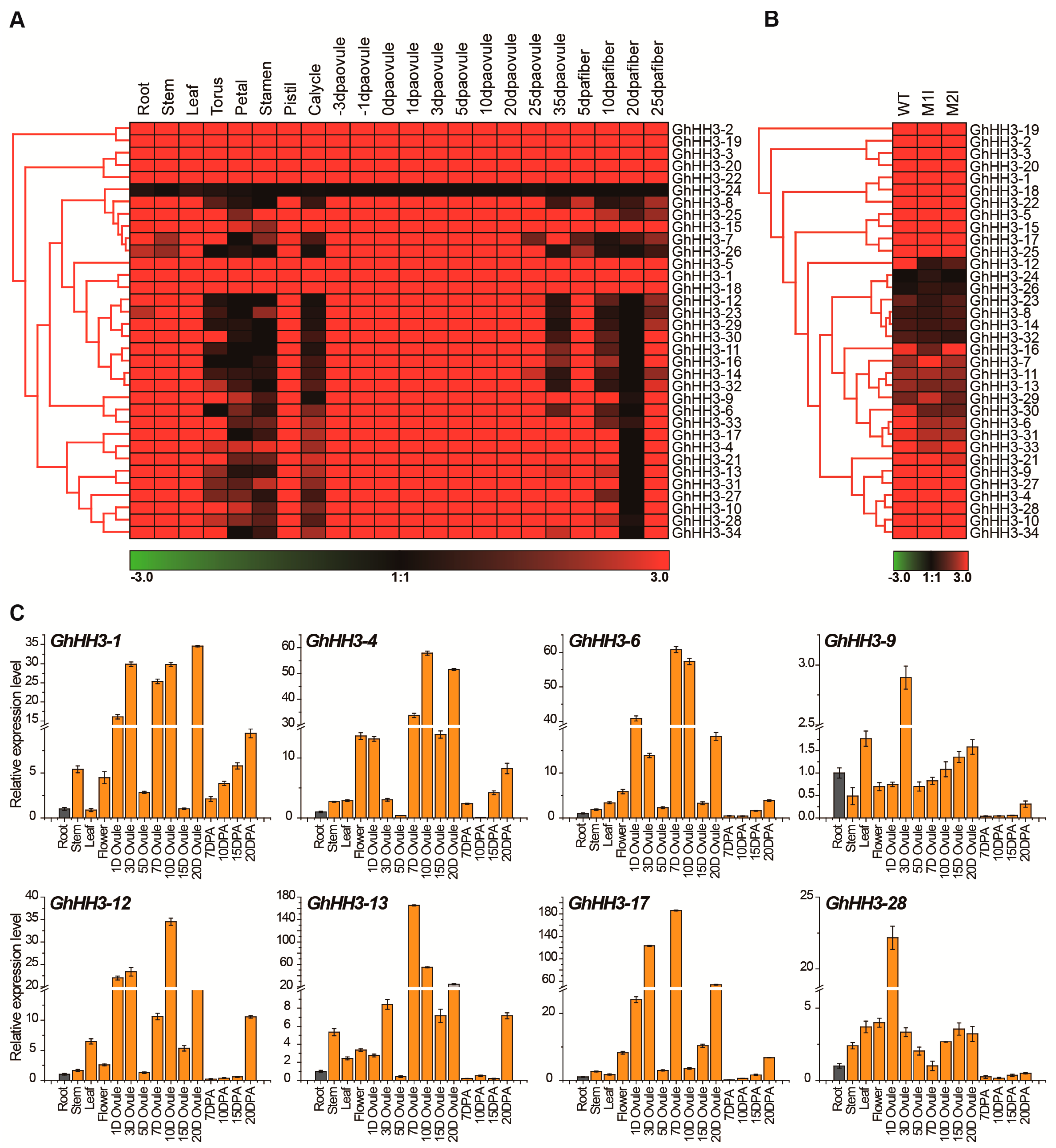 Genes 10 00355 g004 Genes 10 00355 g004