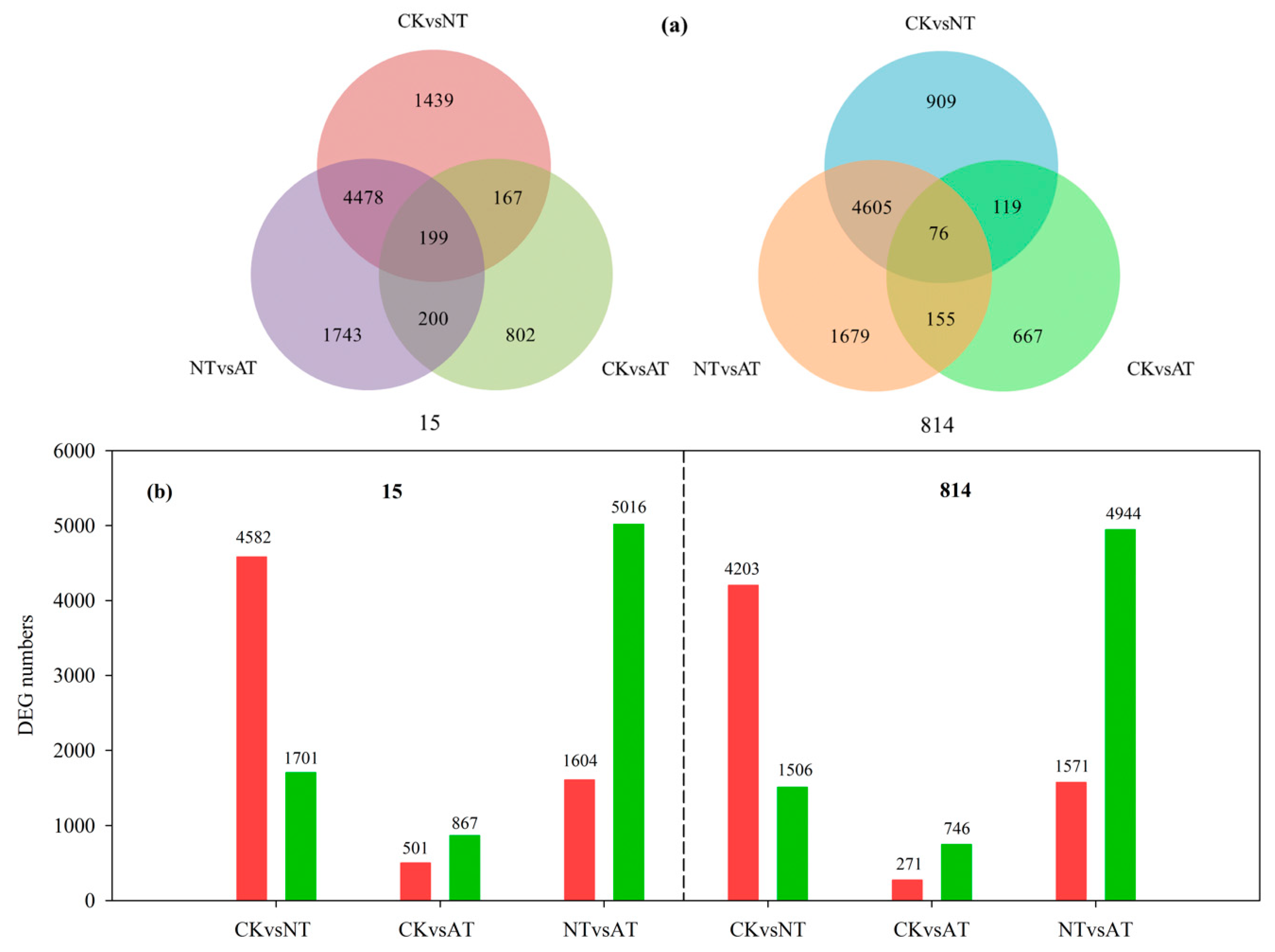 Genes 10 00391 g003 Genes 10 00391 g003