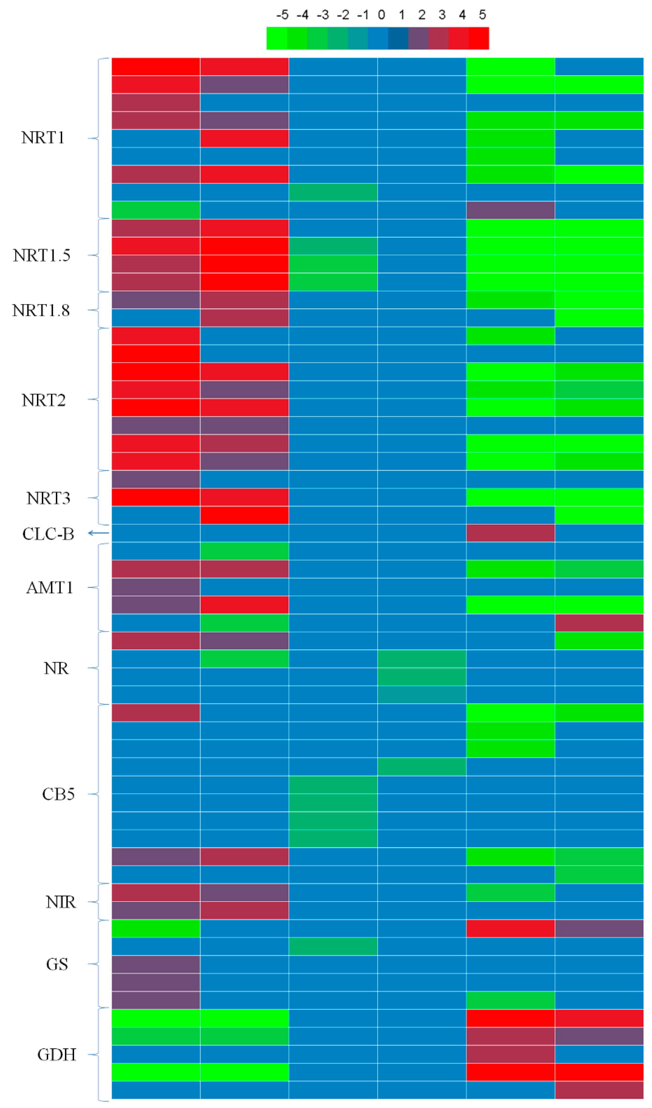 Genes 10 00391 g006 Genes 10 00391 g006