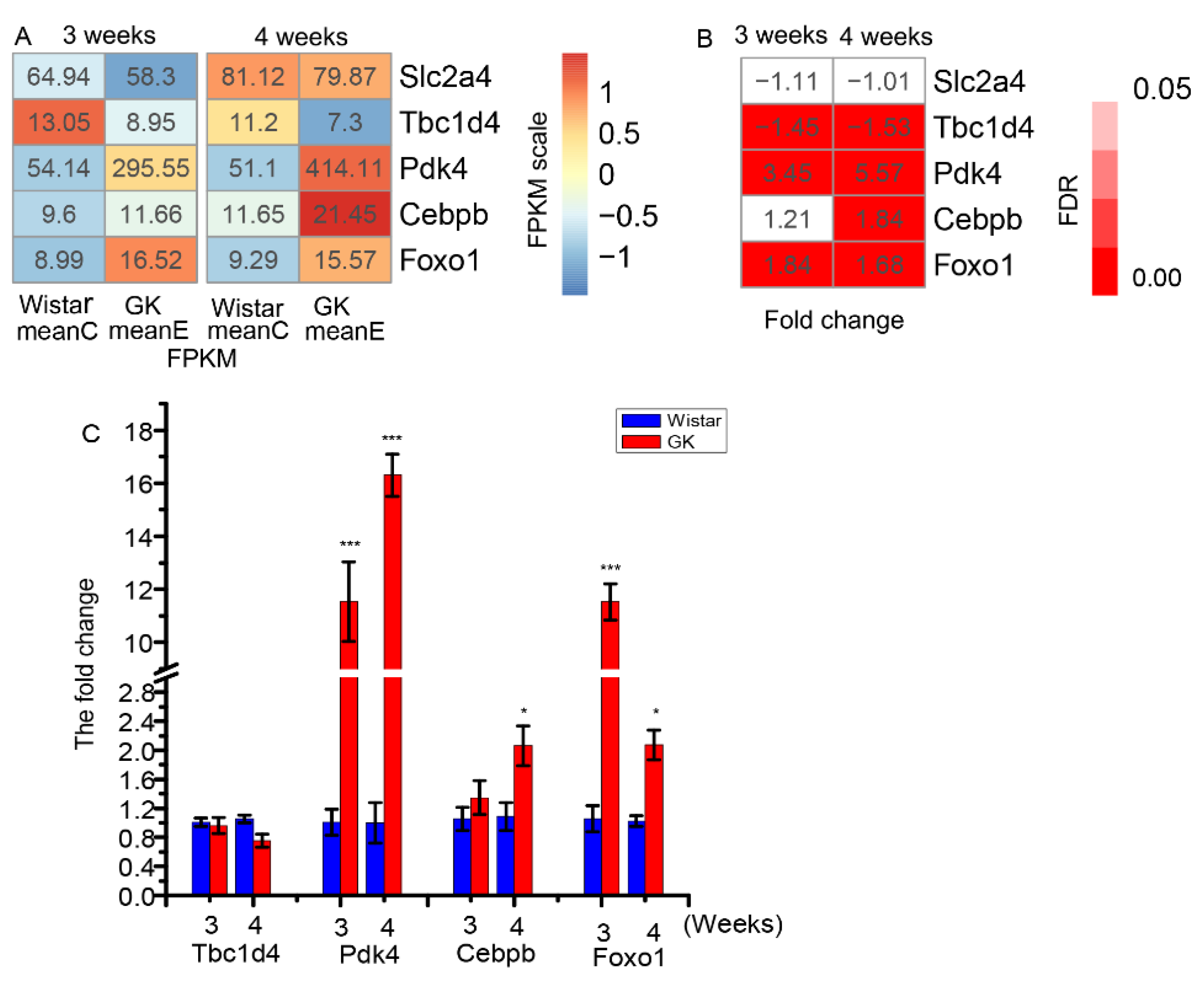 Genes 10 00406 g003 Genes 10 00406 g003