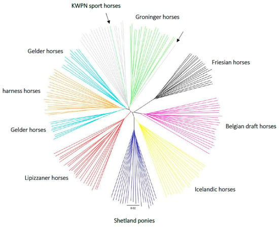 genes  special issue  equine genetics