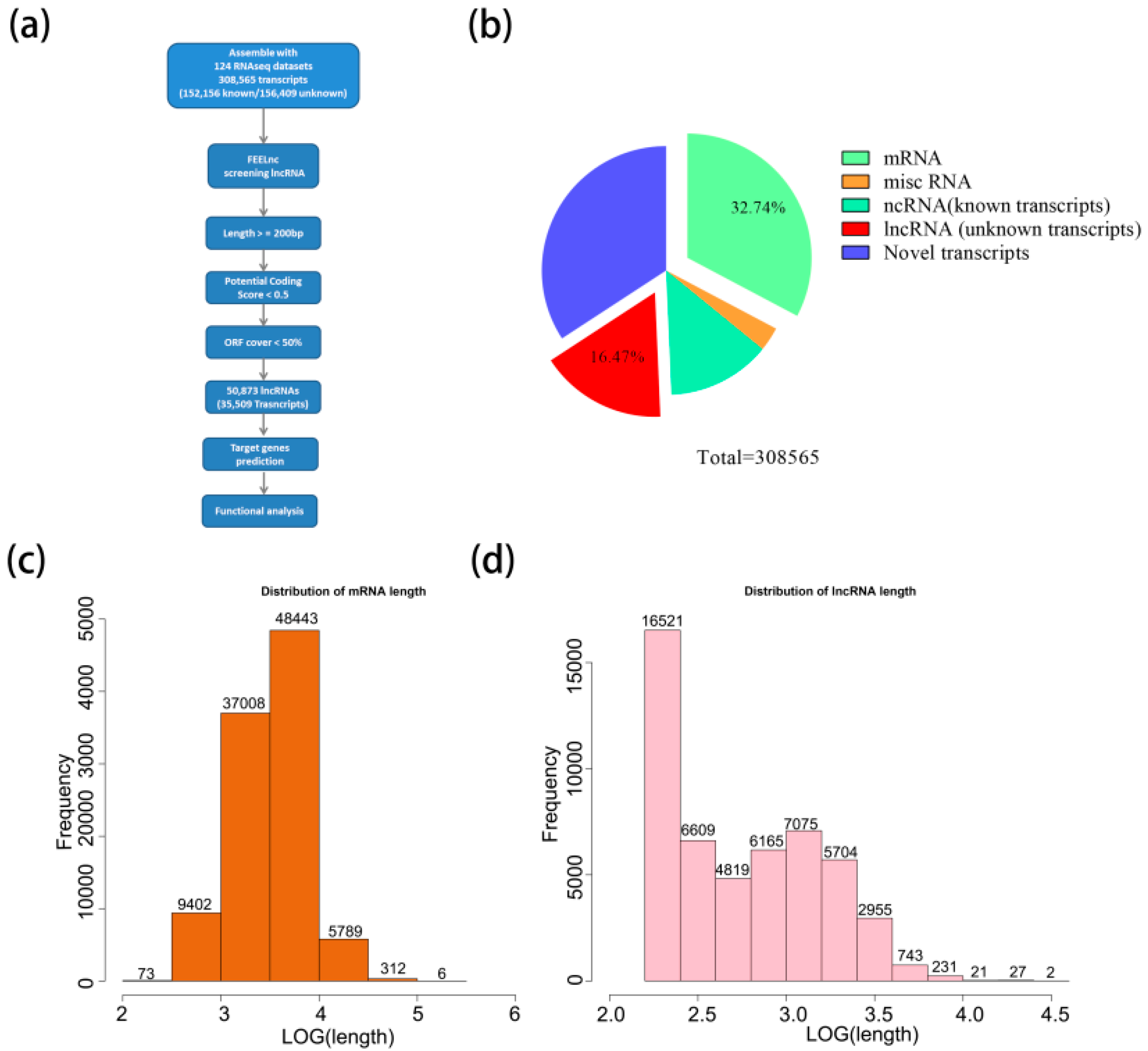 Genes 10 00536 g001 Genes 10 00536 g001