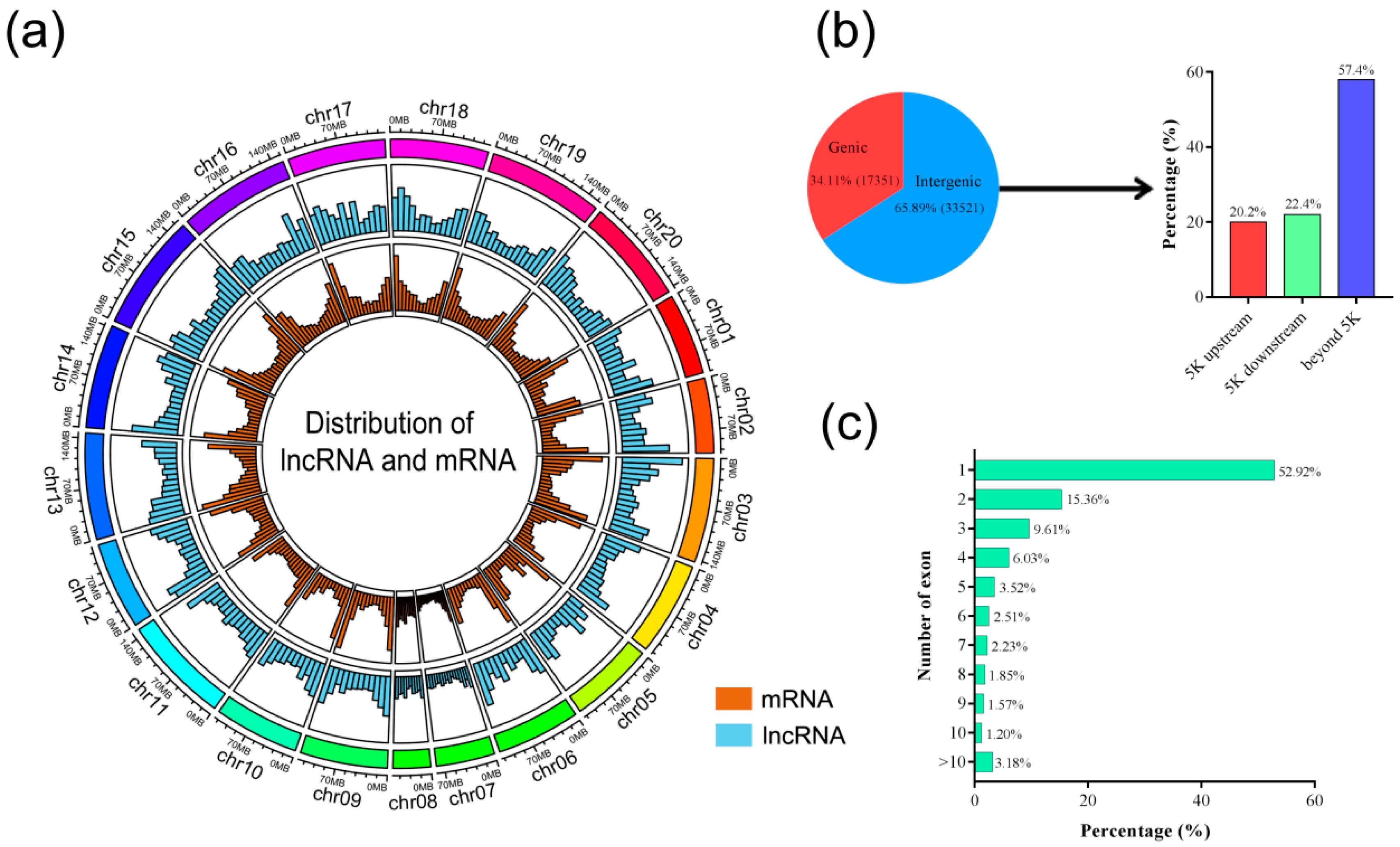 Genes 10 00536 g002 Genes 10 00536 g002