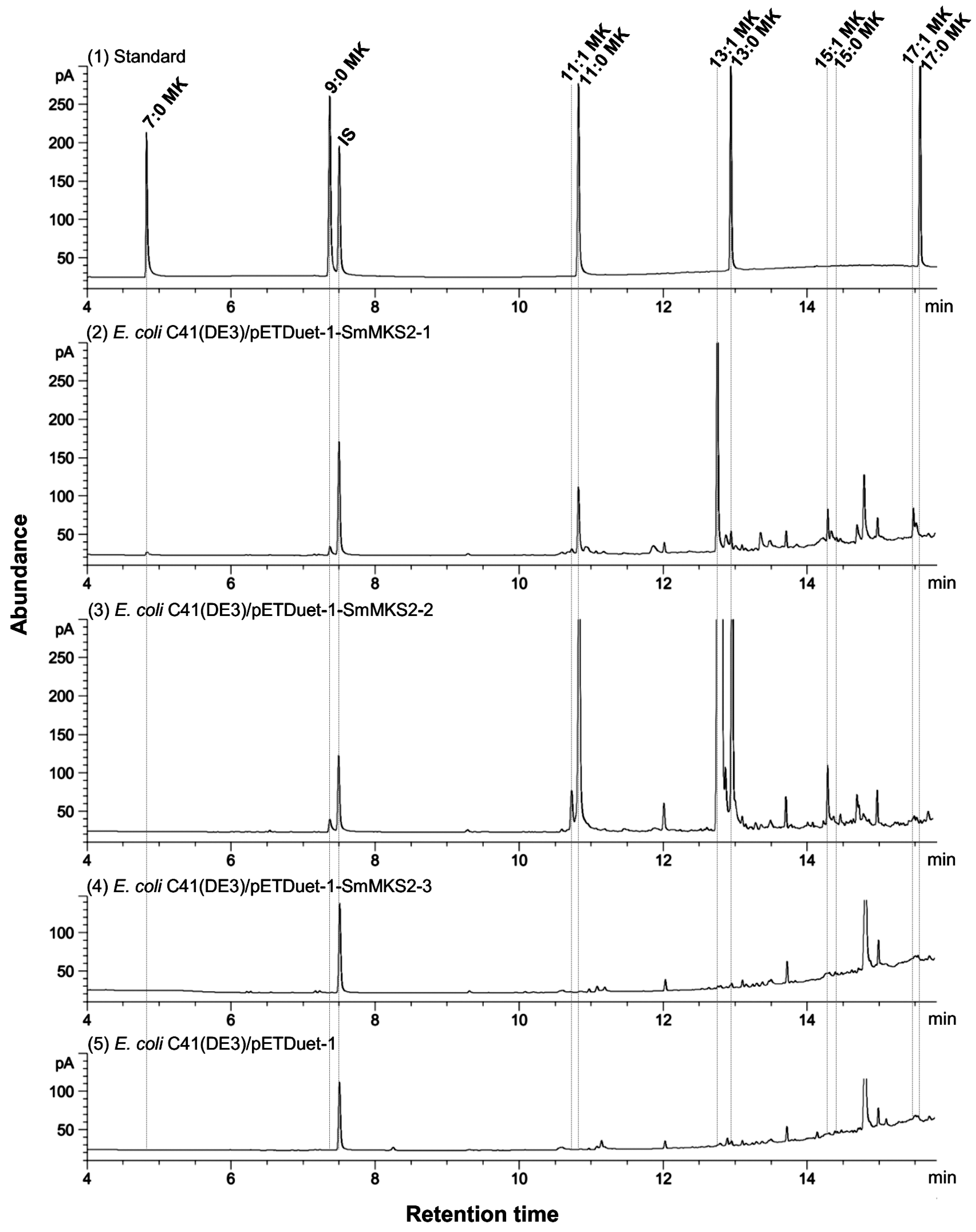 Genes 10 00549 g005 Genes 10 00549 g005