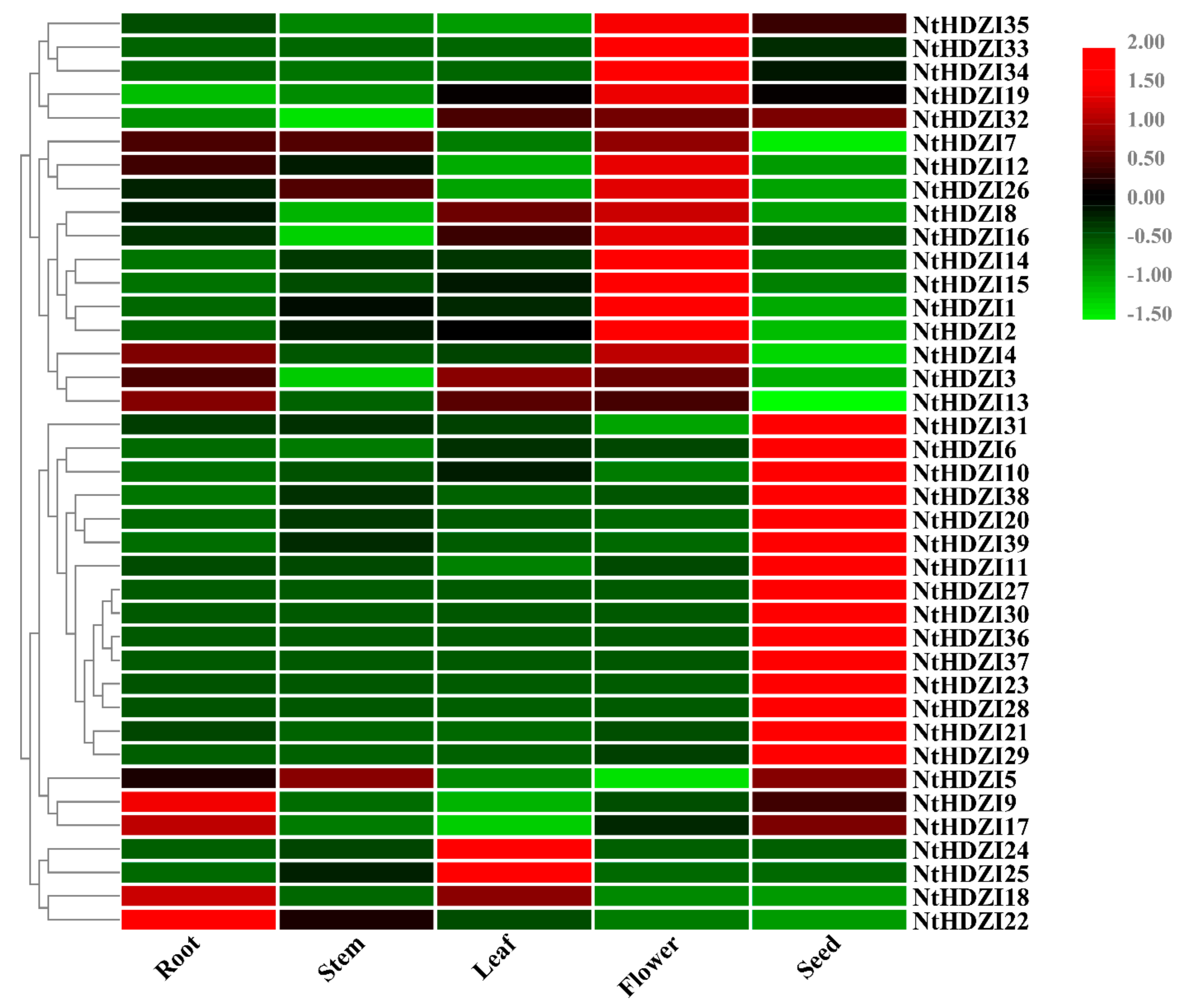 Genes Free Full Text Genome Wide Identification And Expression Analysis Of Hd Zip I Gene Subfamily In Nicotiana Tabacum Html