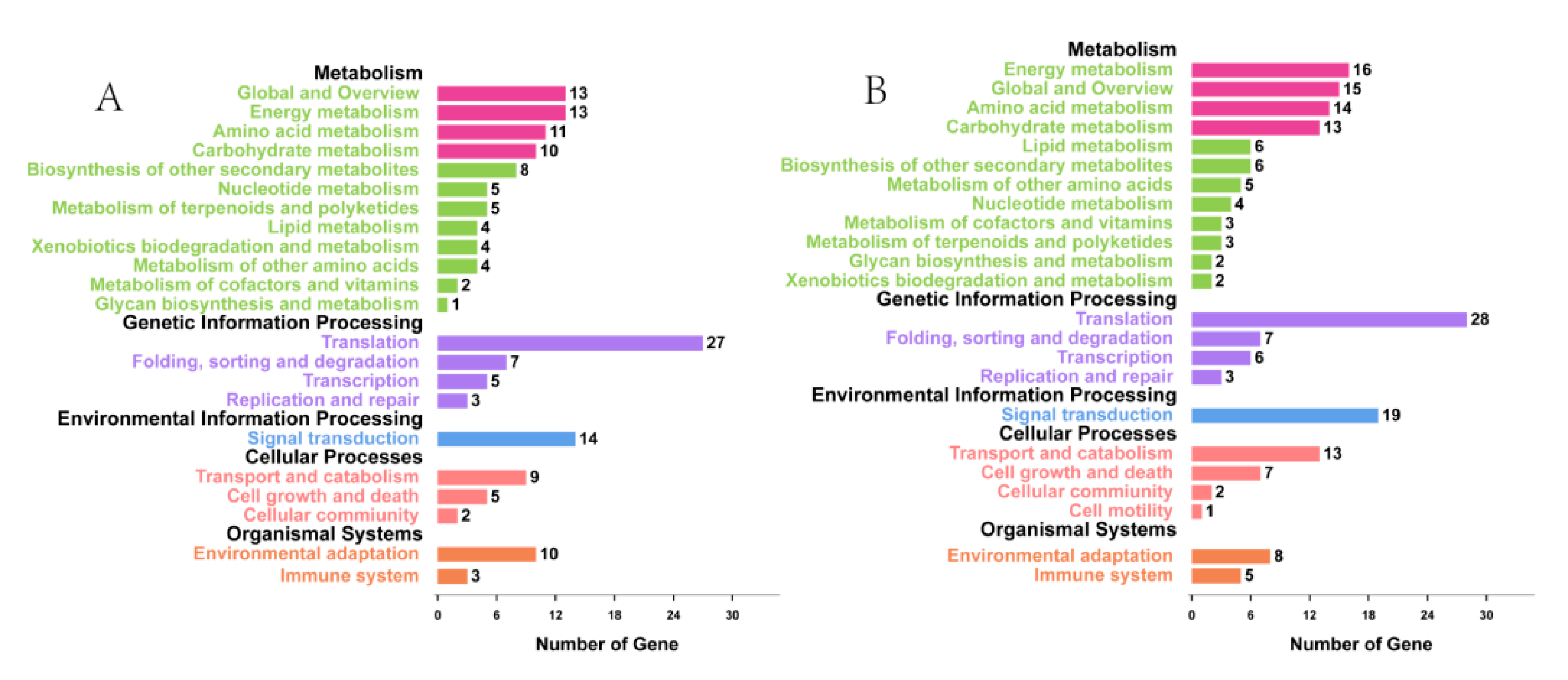 Genes 10 00591 g005