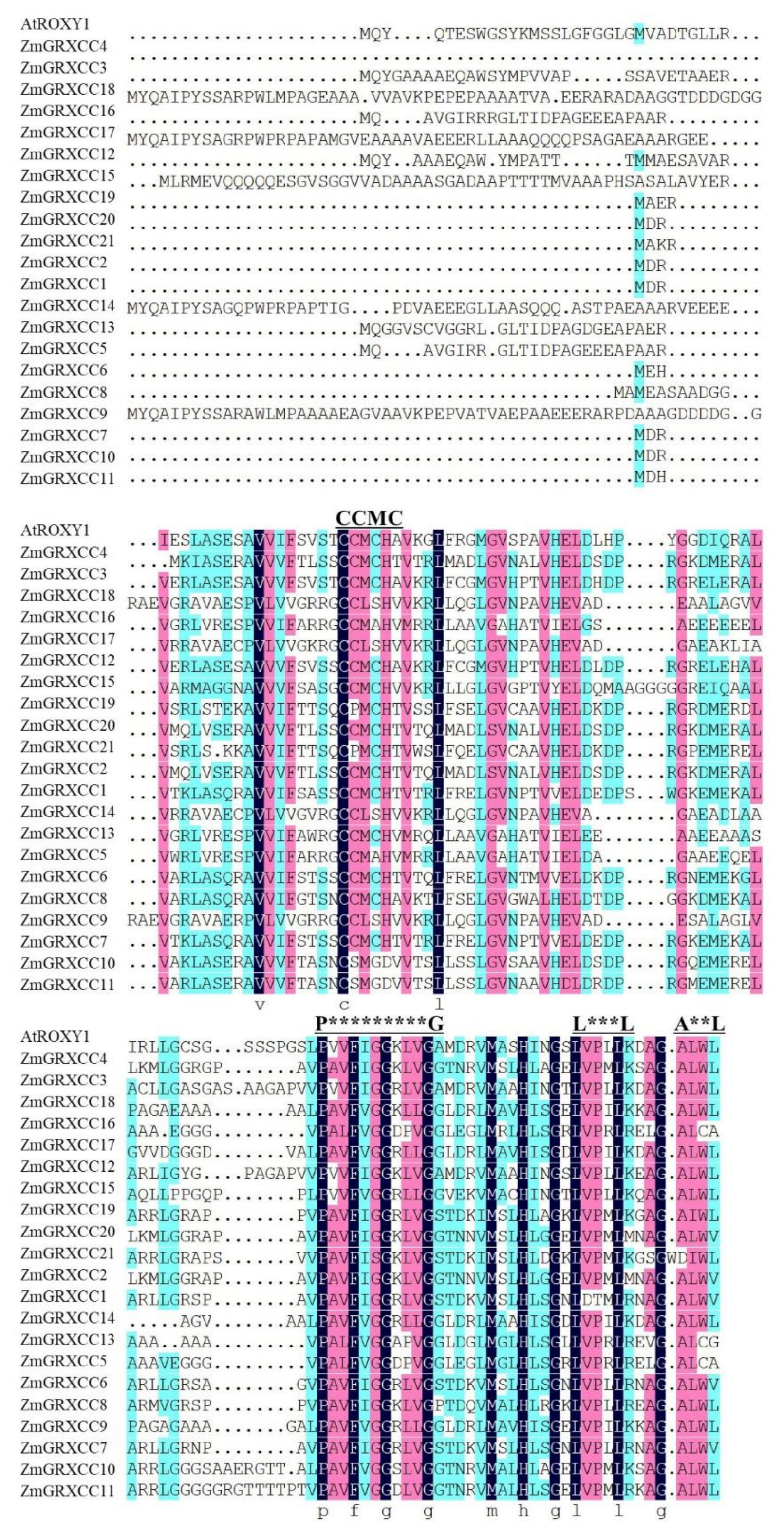 Genes 10 00610 g003 Genes 10 00610 g003