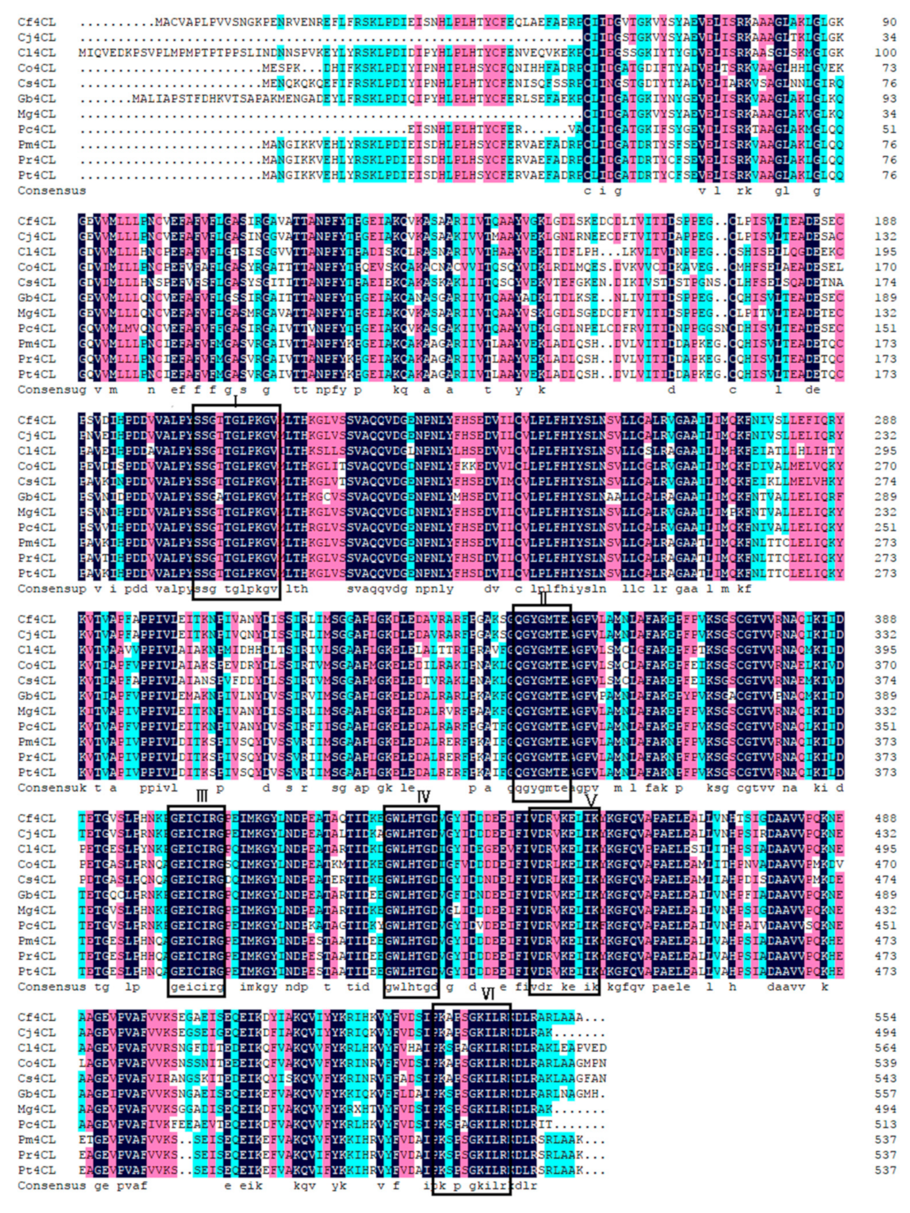 Genes 10 00619 g002 Genes 10 00619 g002