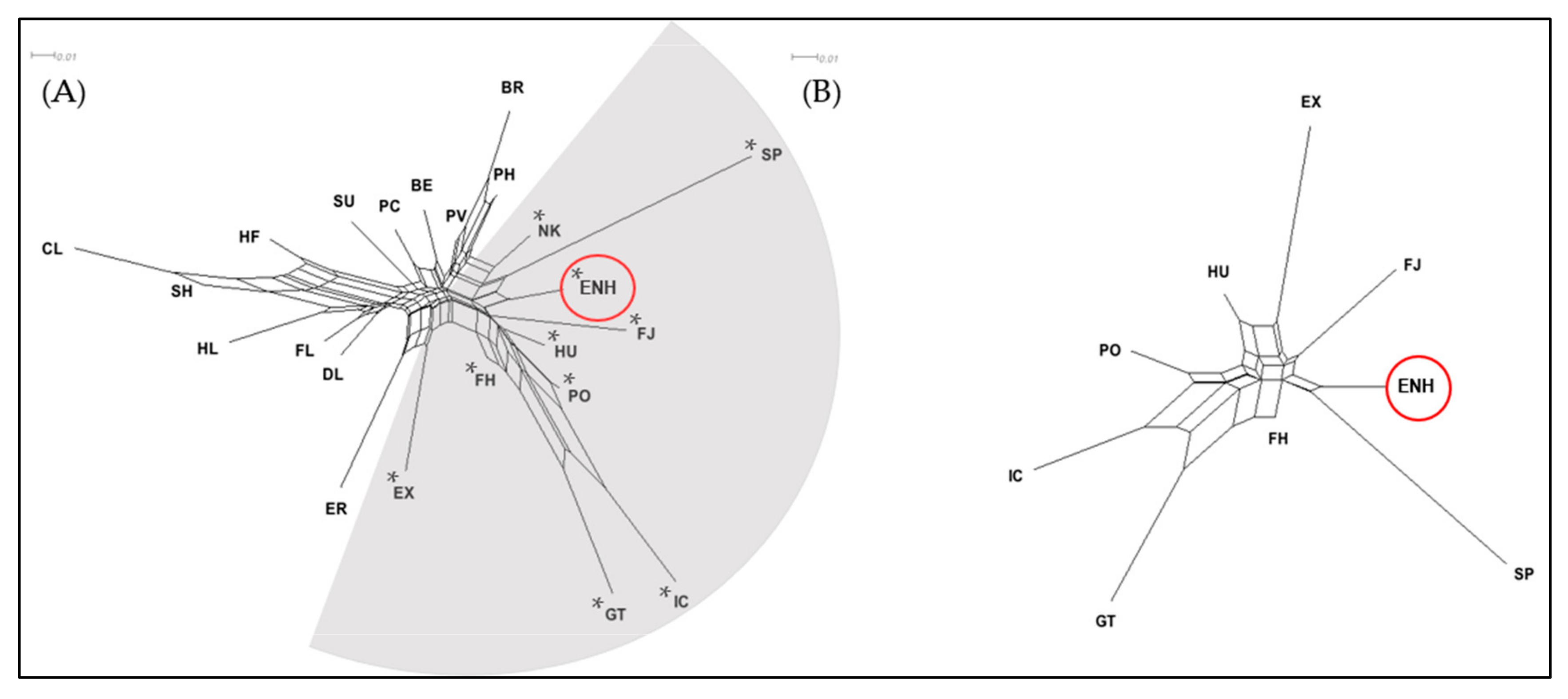 Genes 10 00629 g002 Genes 10 00629 g002