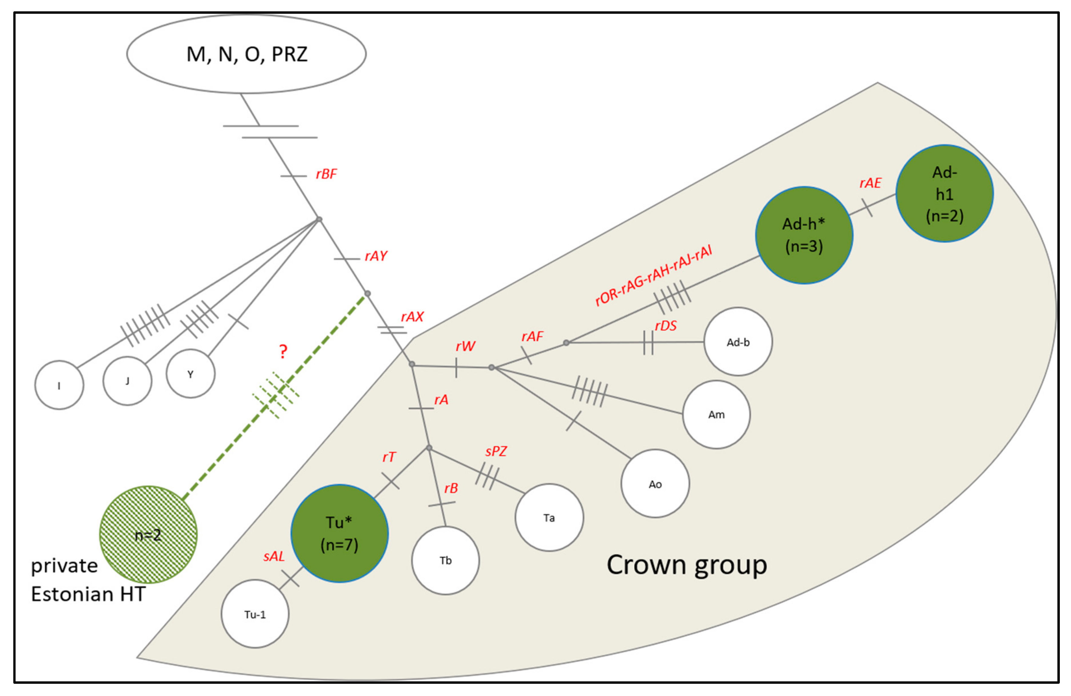 Genes 10 00629 g004 Genes 10 00629 g004