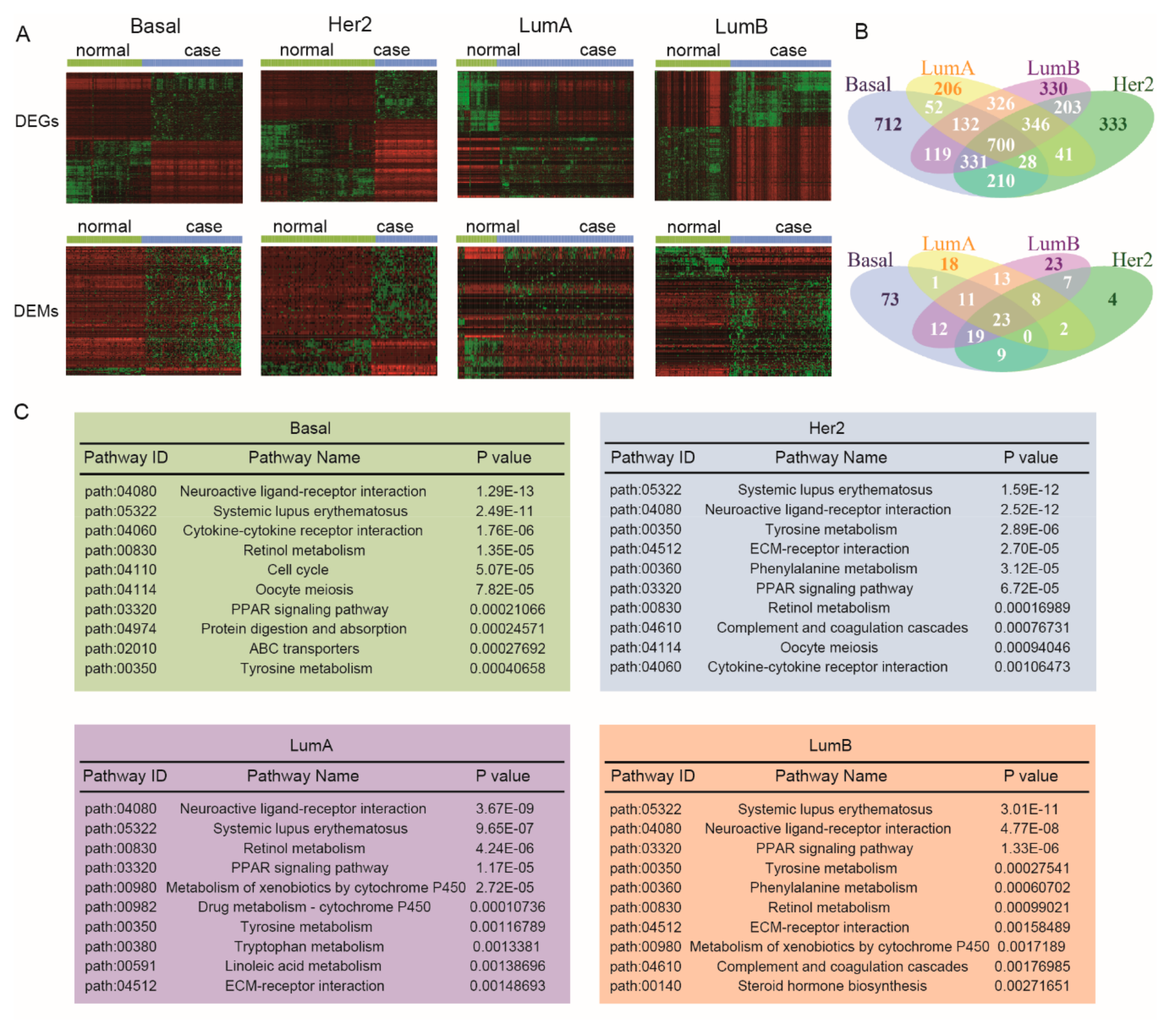 Genes 10 00657 g002