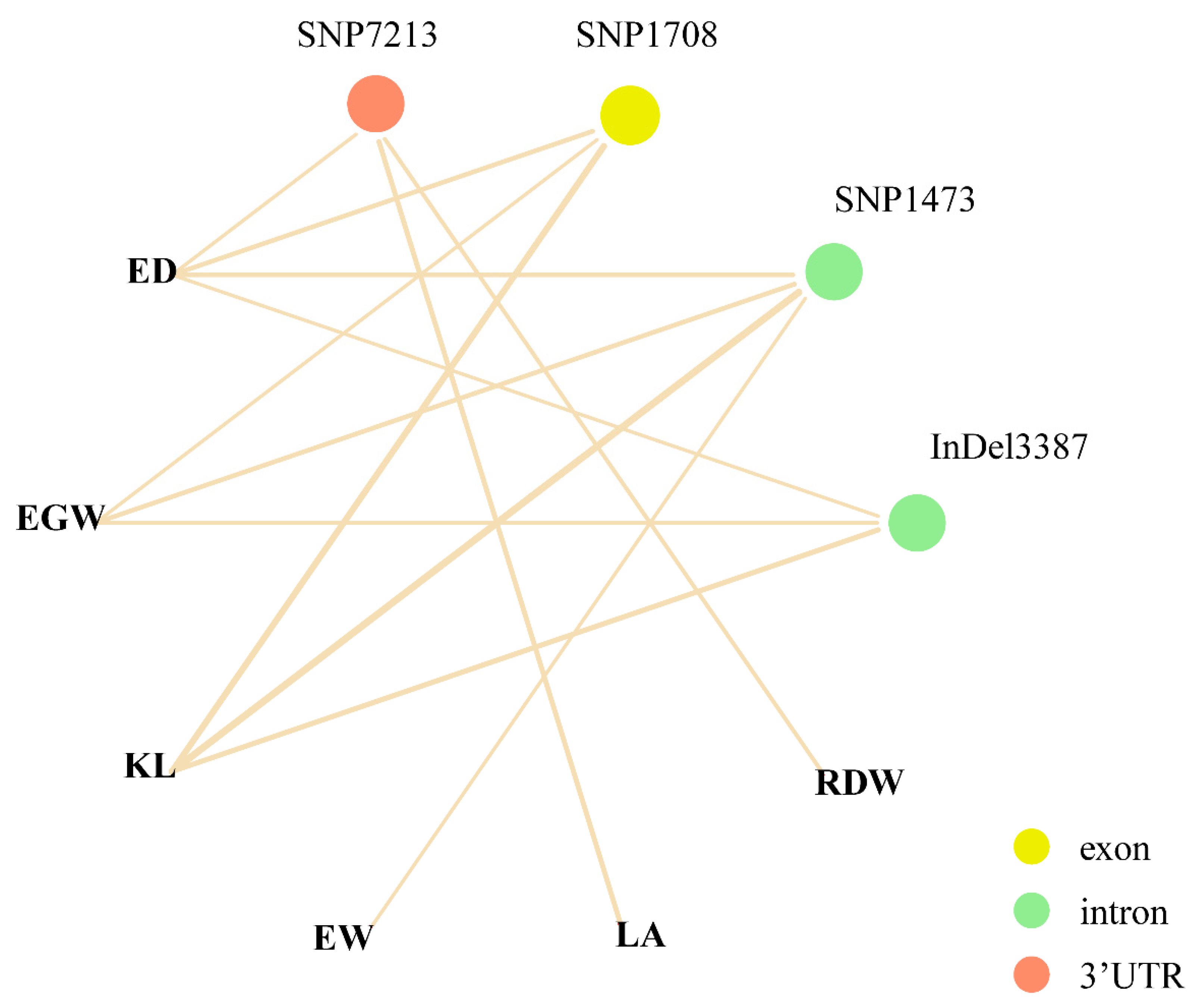 Genes 10 00664 g003 Genes 10 00664 g003
