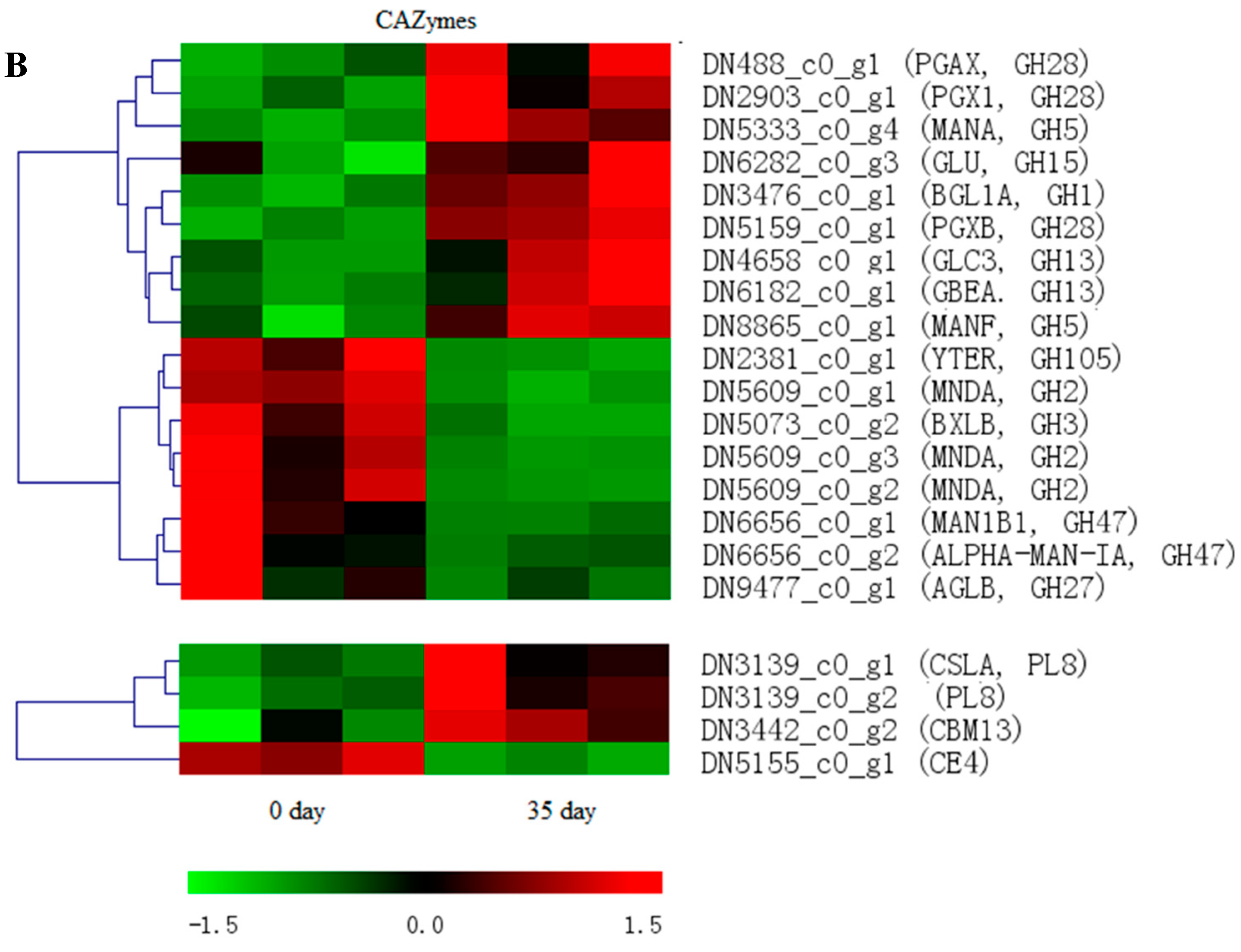 Genes | Free Full-Text | A Comparative Transcriptome Analysis Reveals ...