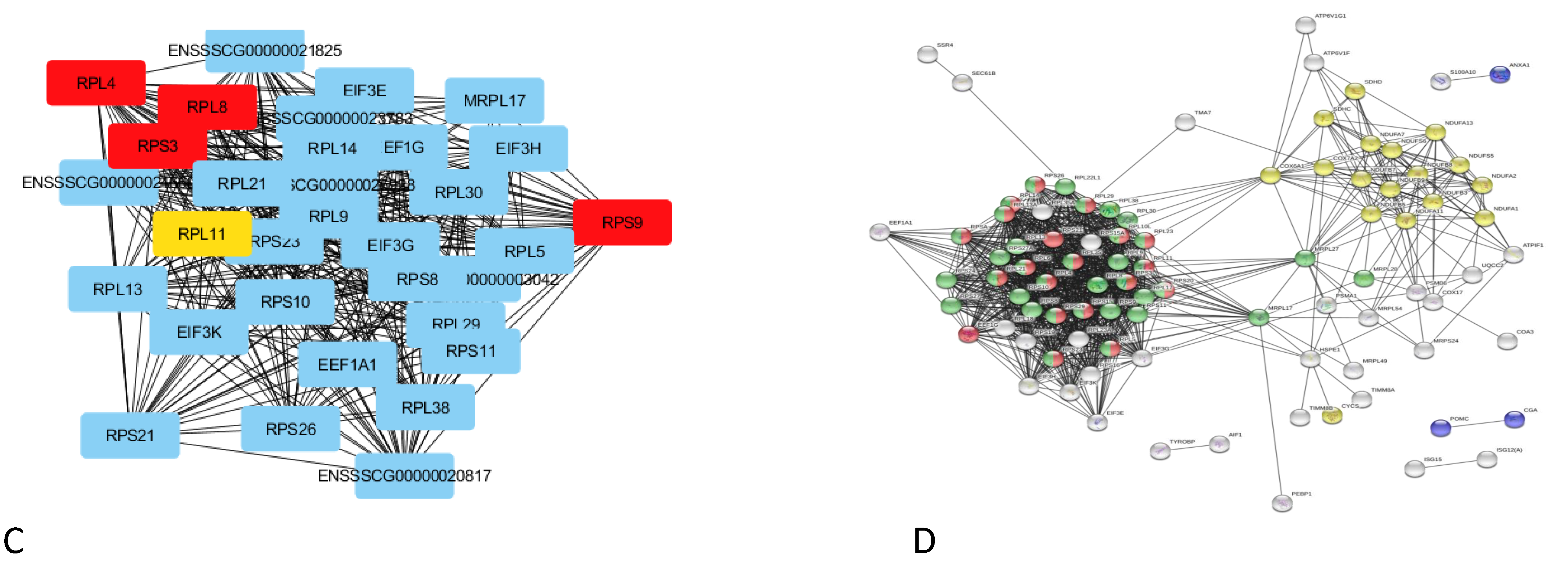 Genes 10 00712 g003b