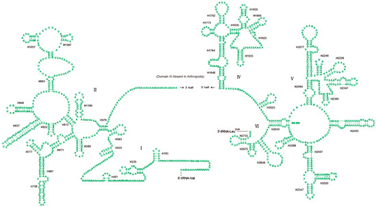 Genes September 19 Browse Articles