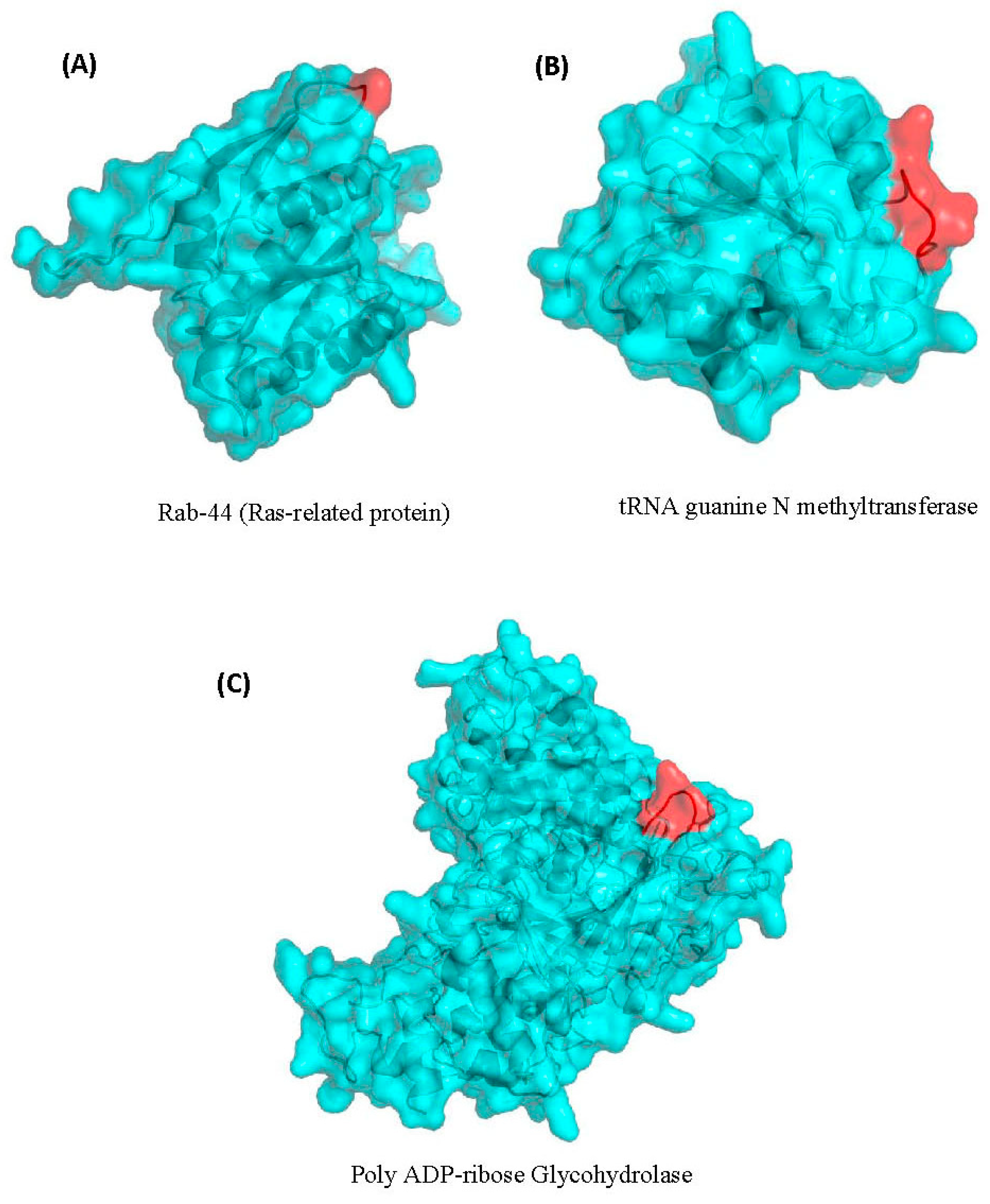 Genes 10 00739 g006 Genes 10 00739 g006