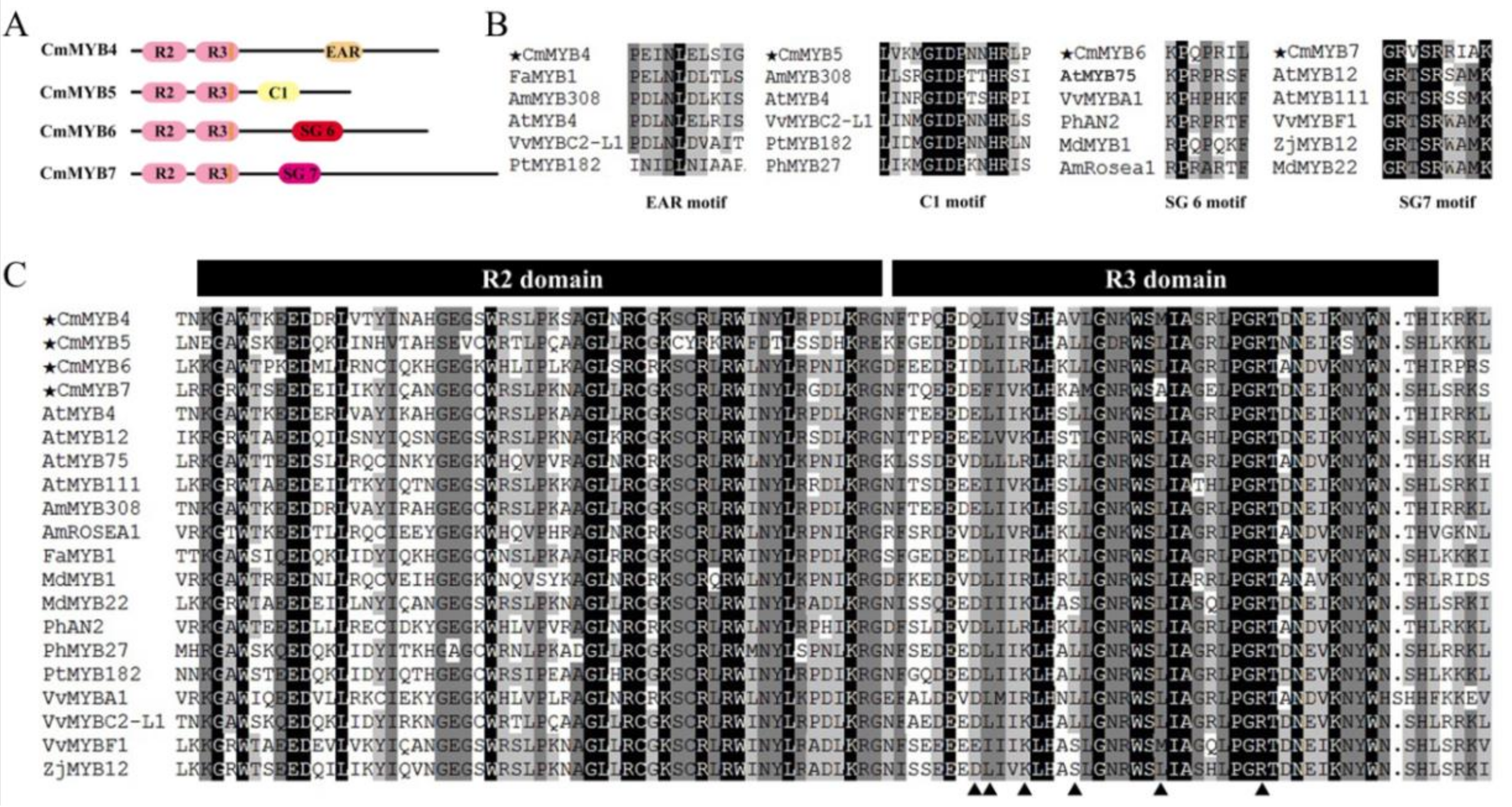 Genes 10 00777 g002