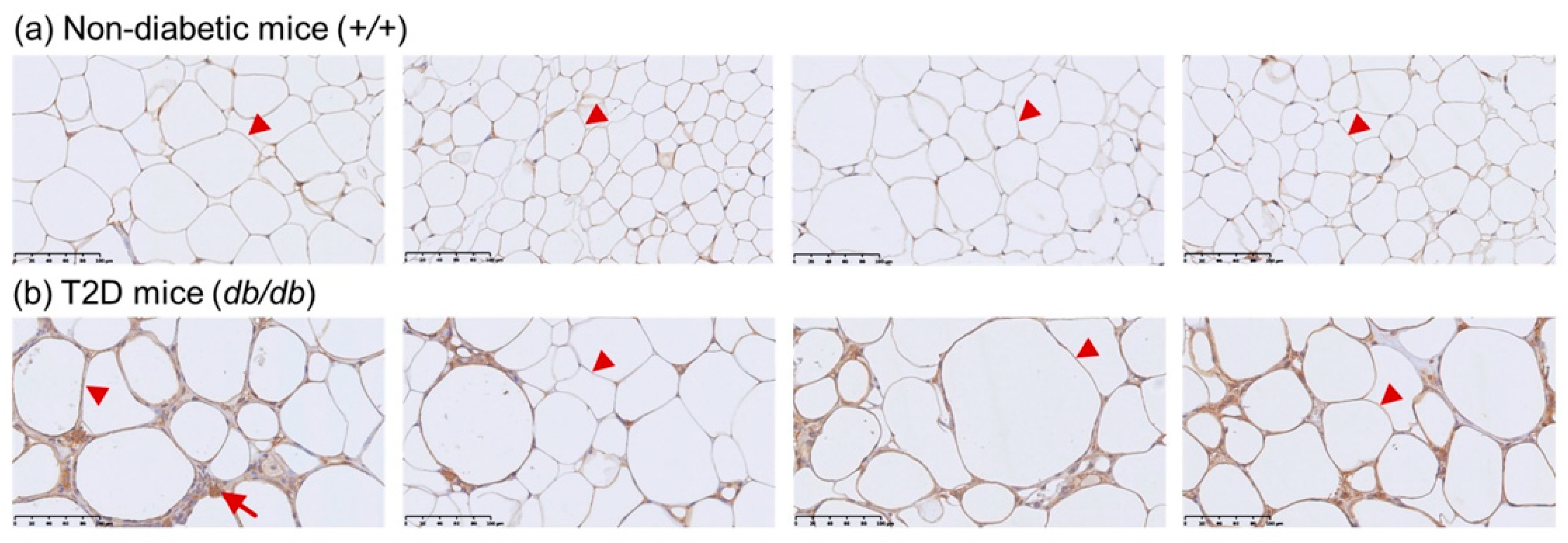Genes 10 00782 g002 Genes 10 00782 g002