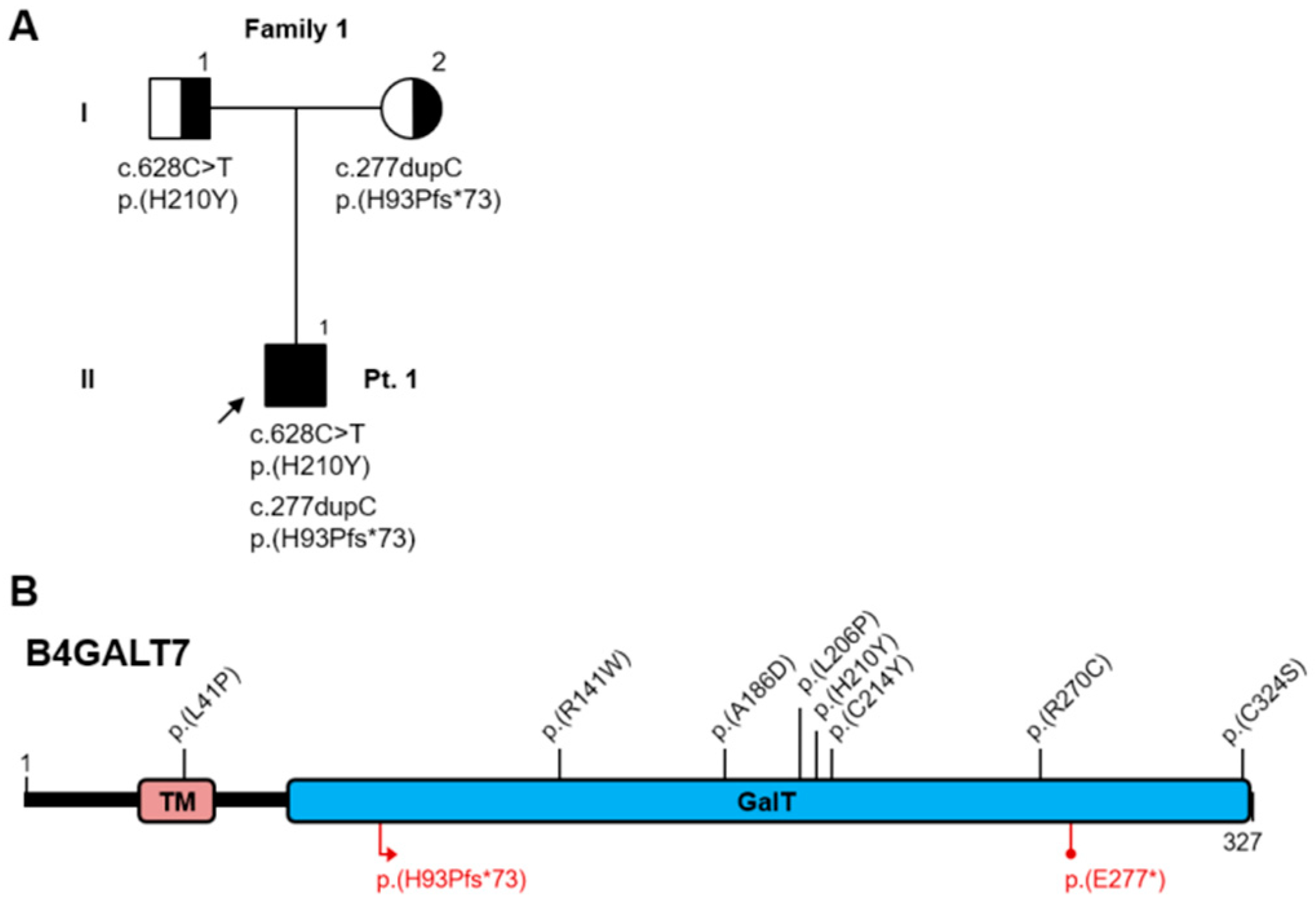 Genes 10 00799 g004 Genes 10 00799 g004